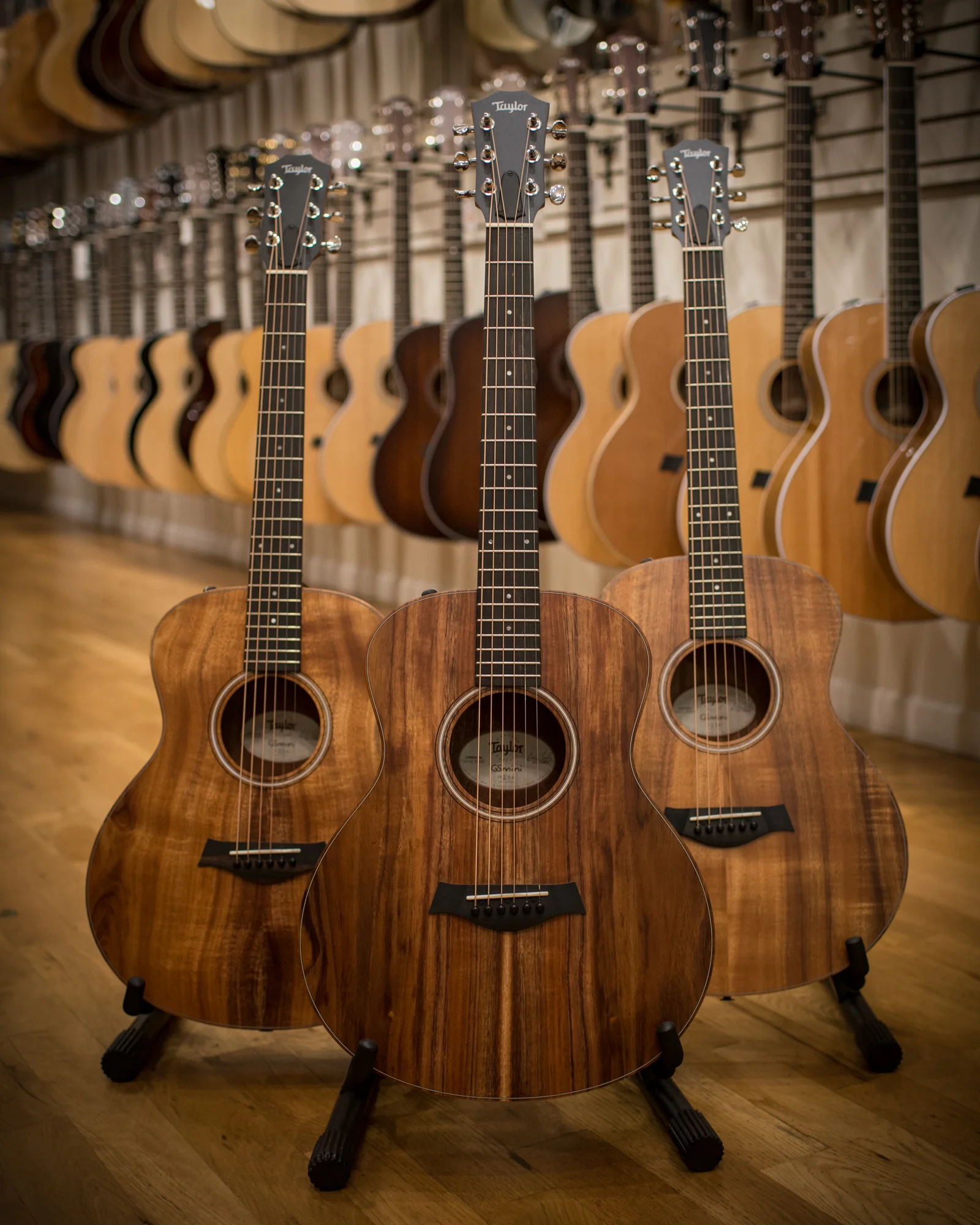 Taylor Guitars Chicago Music Exchange