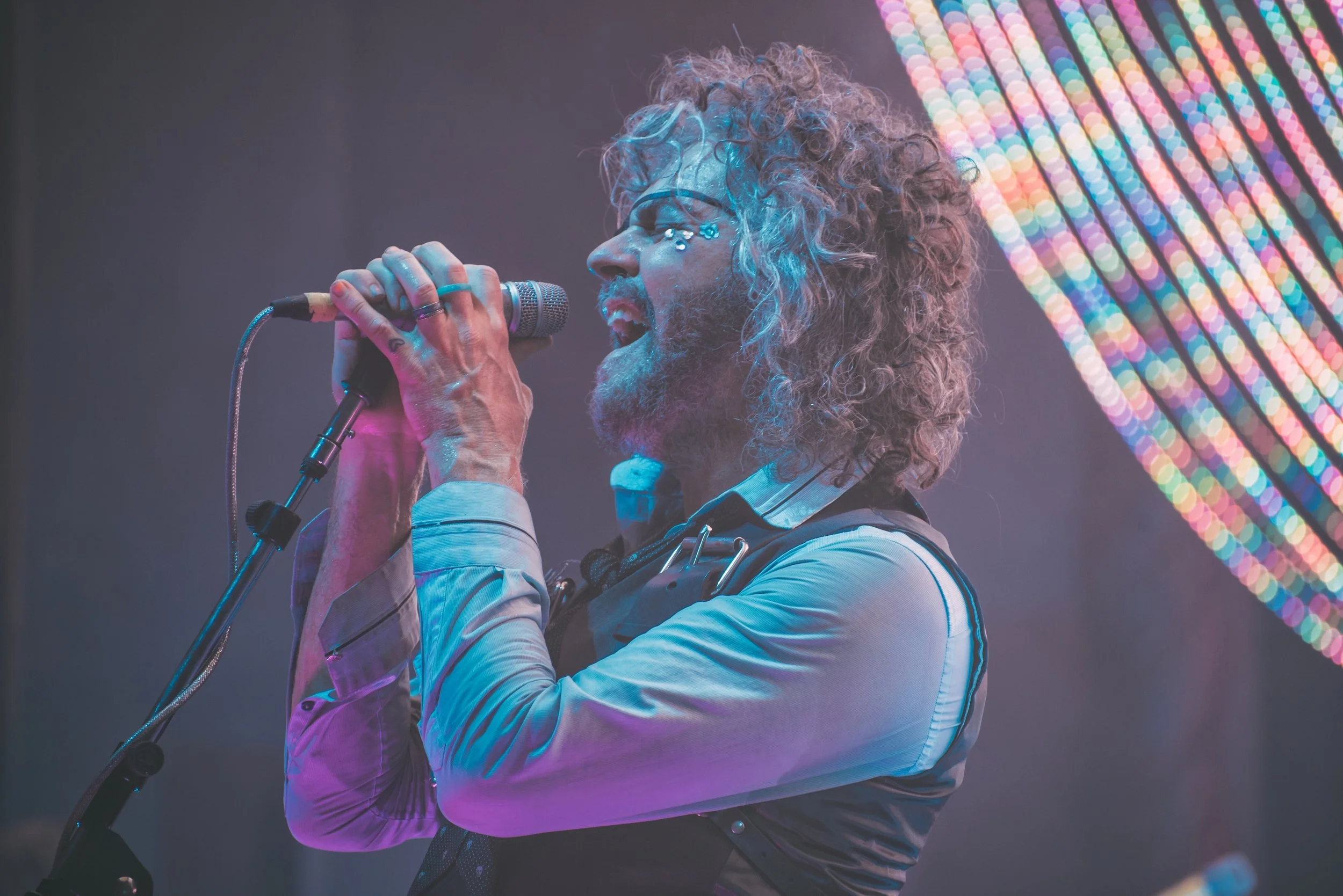 The Flaming Lips