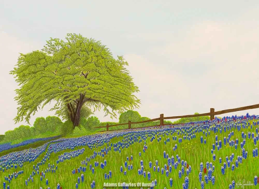 (Sold) John Grimball "Bluebonnets" (30x40) Prints Available