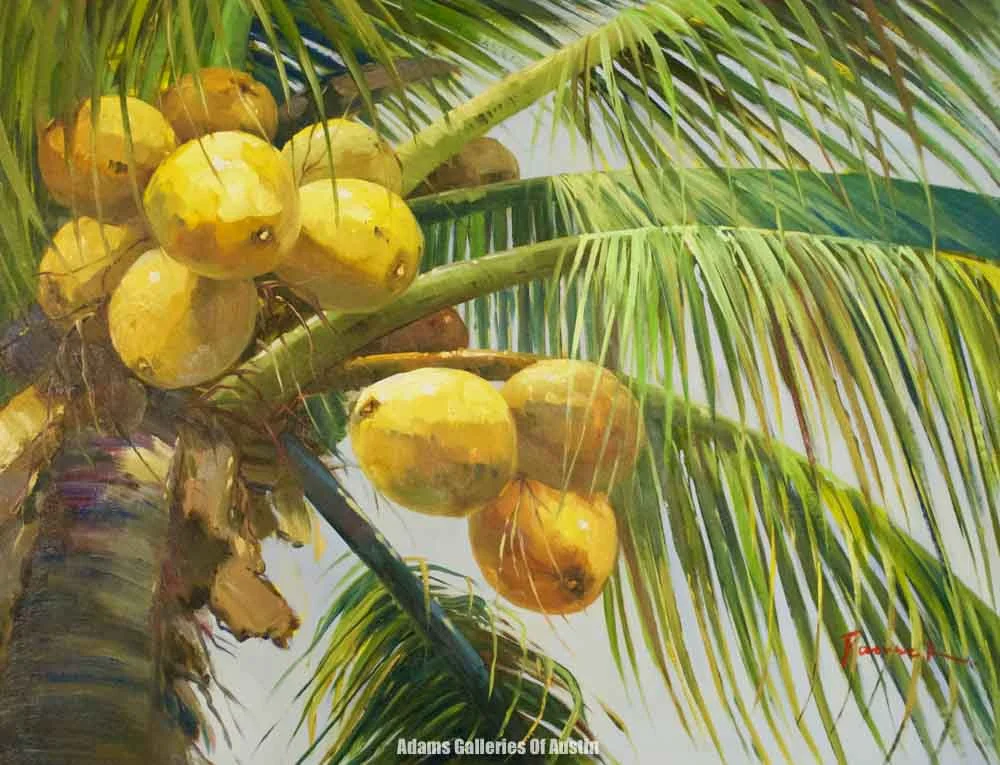 "Coconuts" (36x48) #1374
