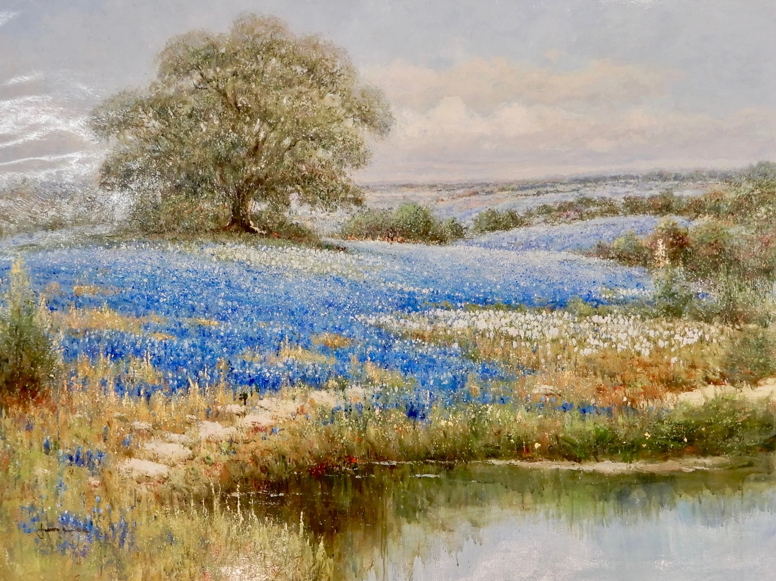 "Texas Bluebonnets" 36x48