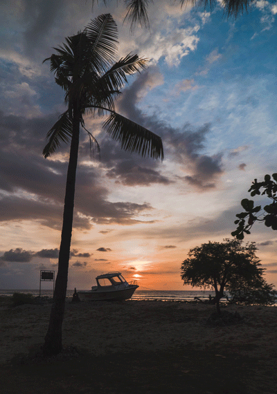 GiliBeach.gif