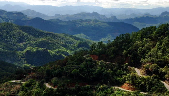 The 3 Year Road Back To Pai