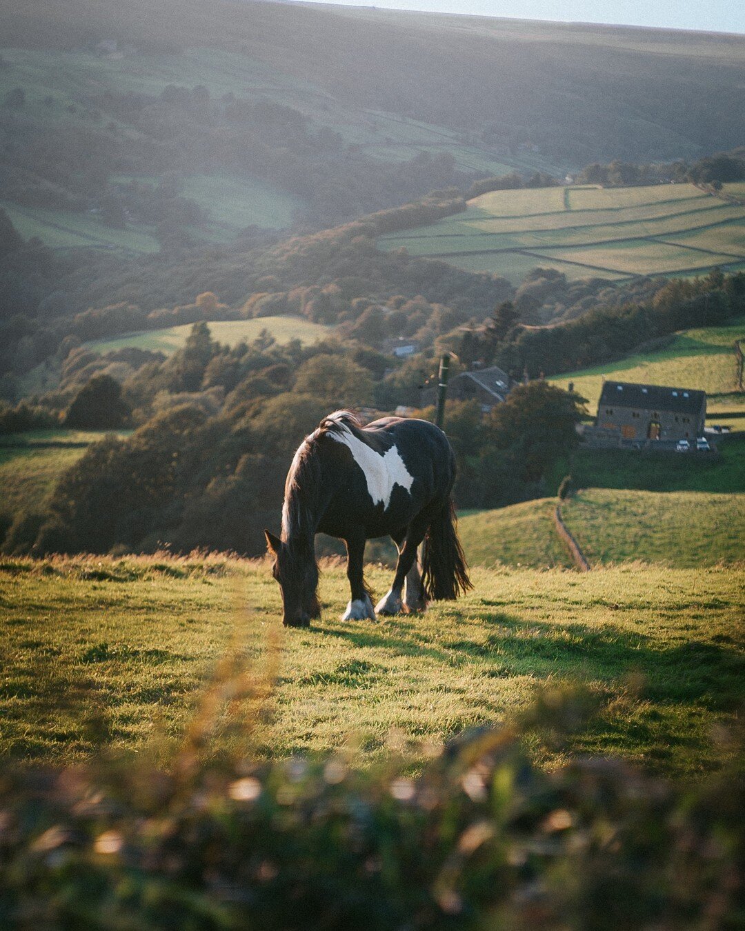 There's nowhere else I'd rather be than exploring my home valleys on sunny days like this.

I definitely took for granted all the nature on my doortstep but over the past few years of wandering the world I've realised how lucky I am to call it home.
