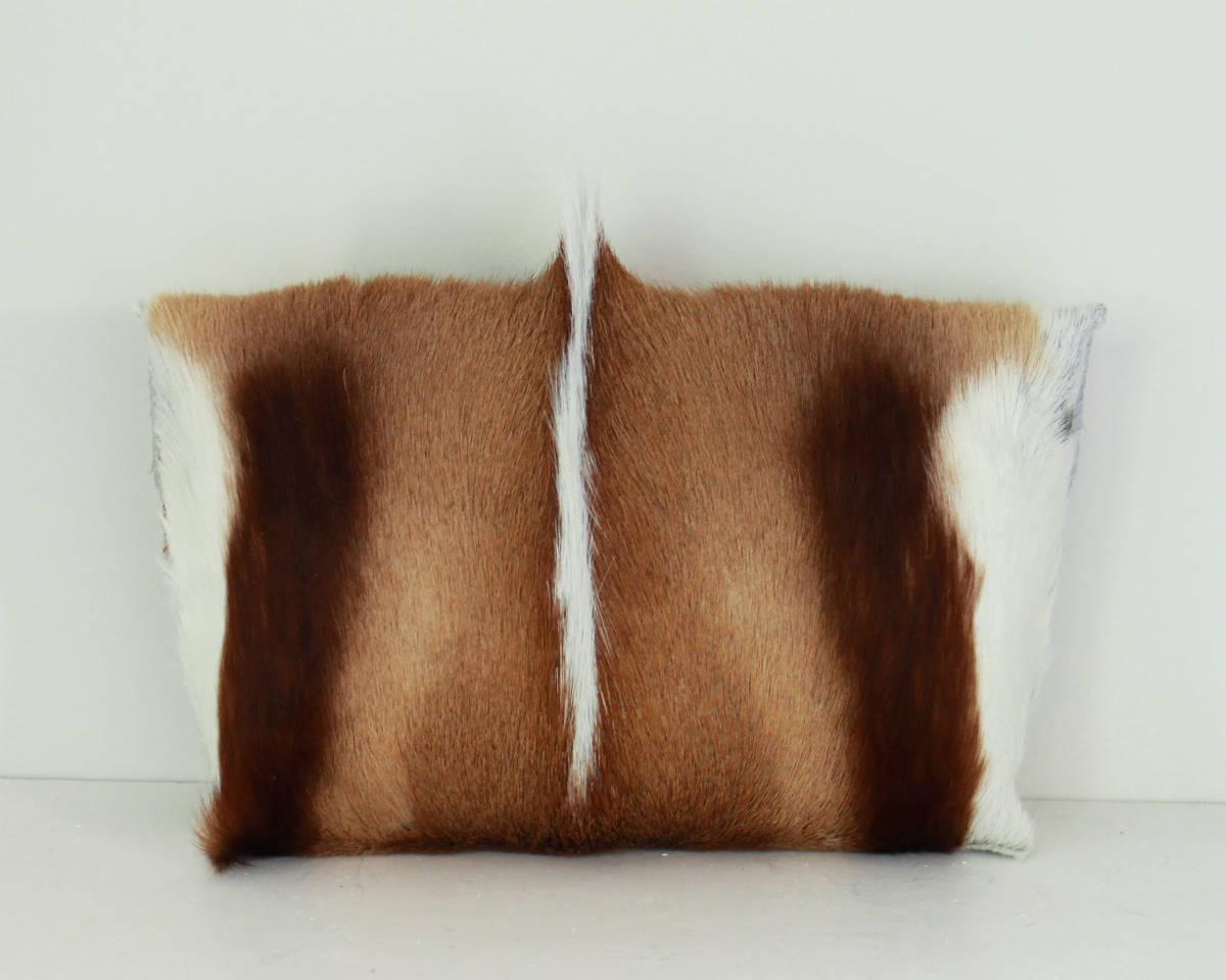 Springbok Clutch  (1).jpg
