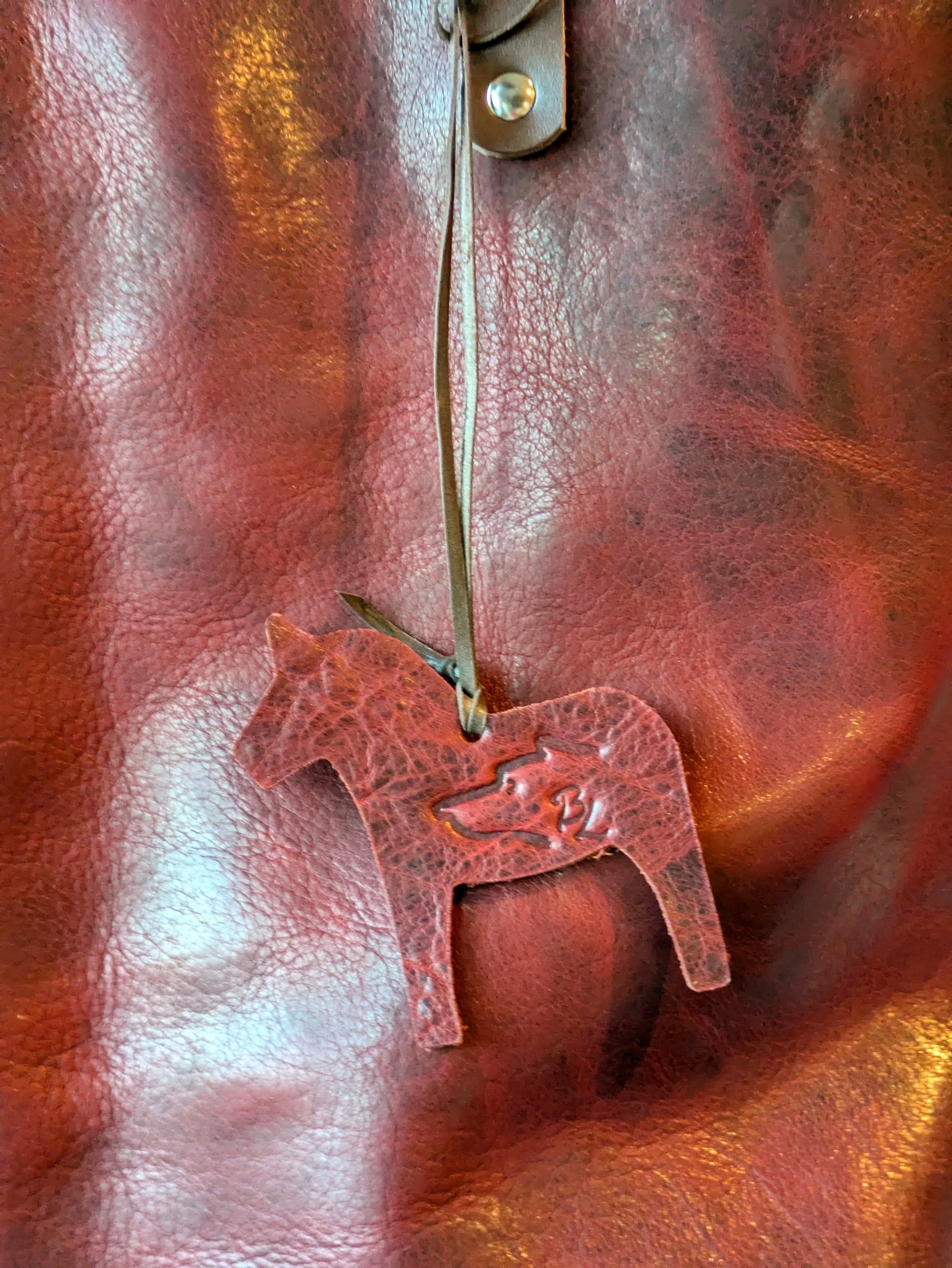 PXL_20241115_225049790.jpg