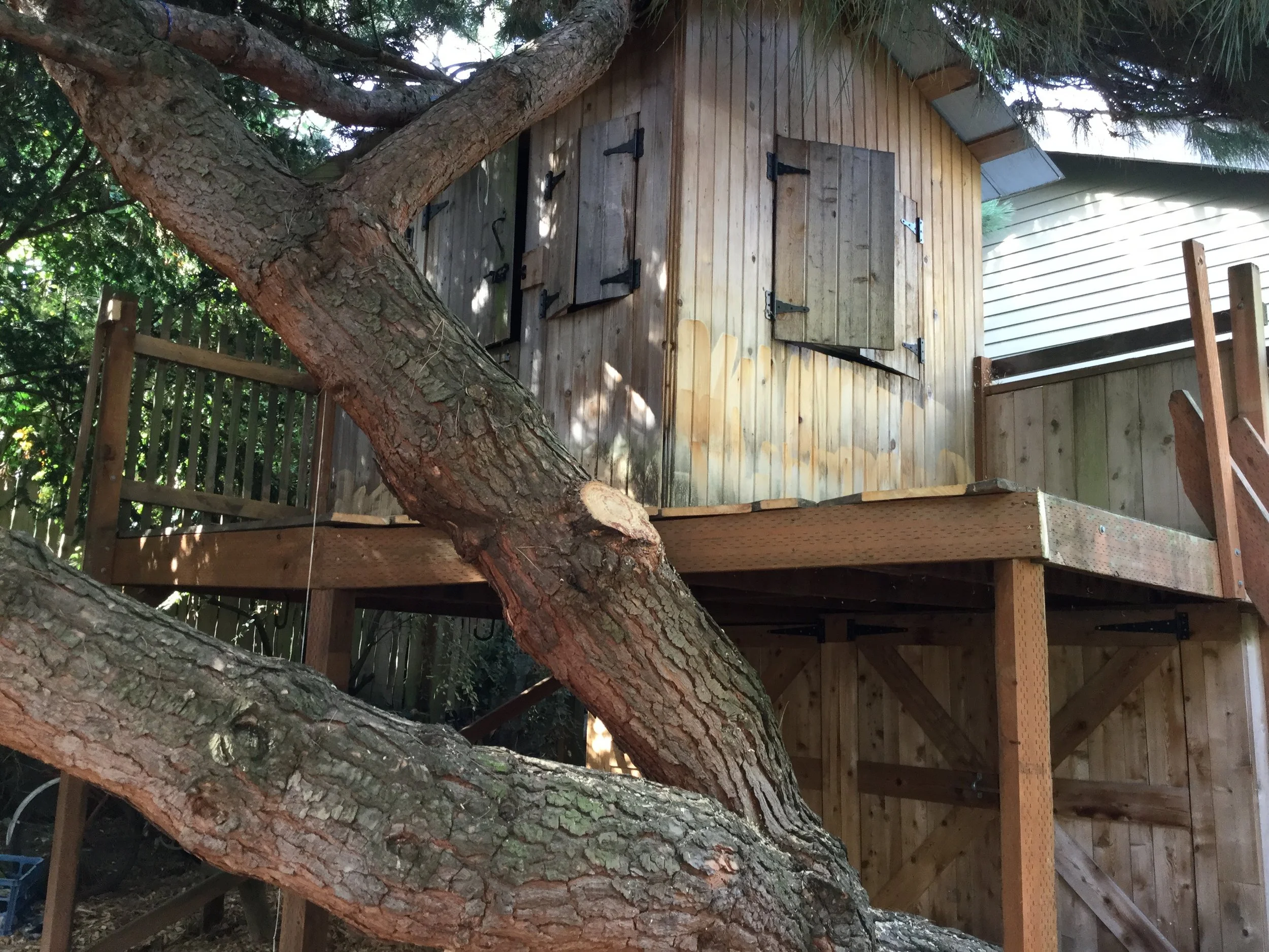 Operation Tree House Rescue