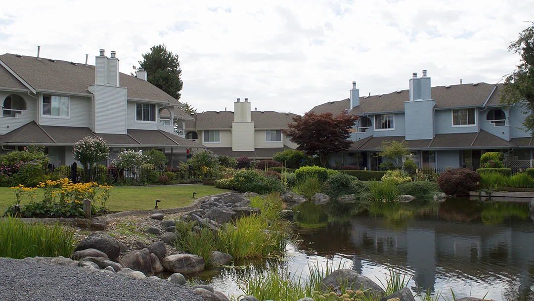 springs-pond.jpg