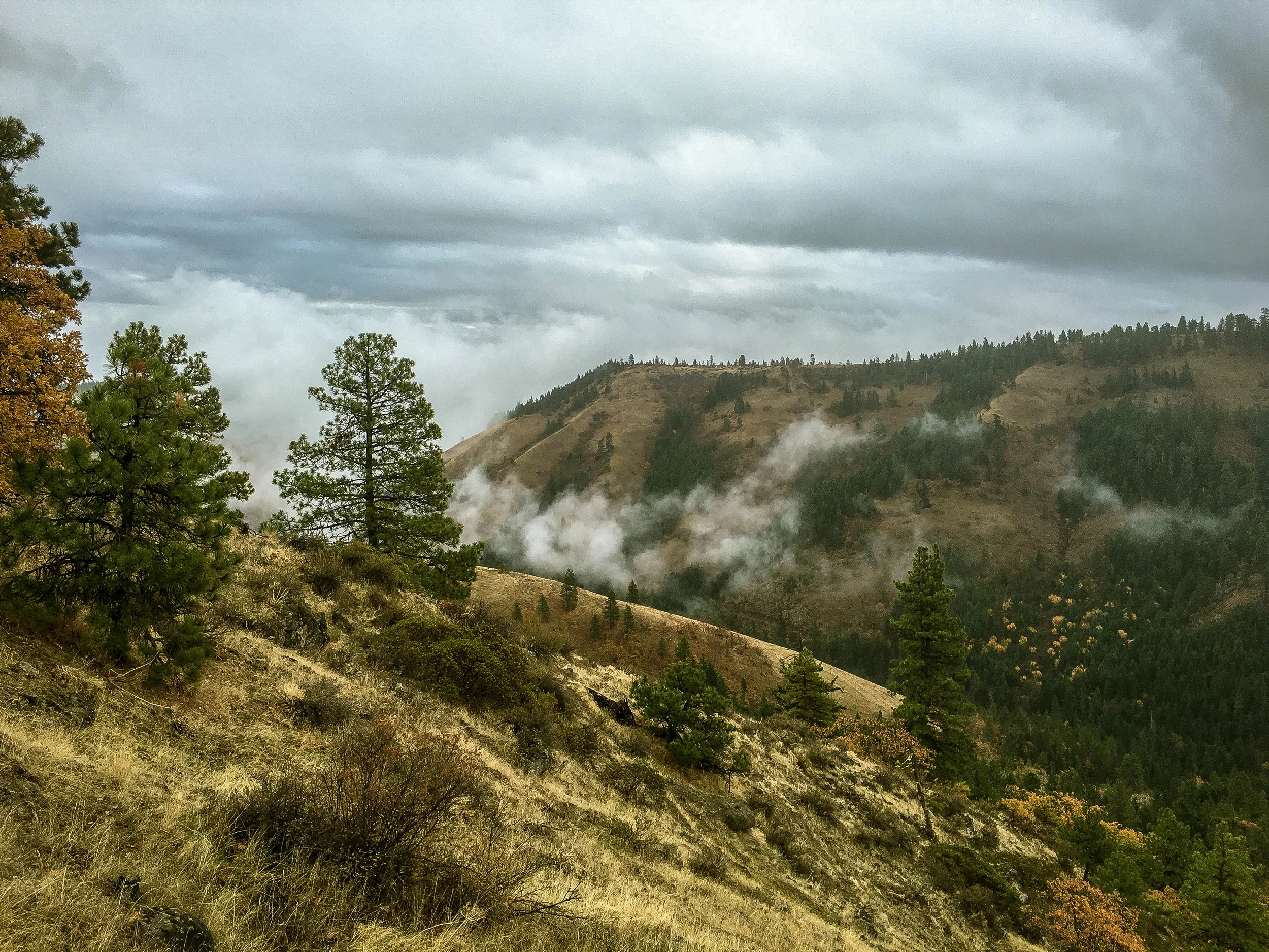 Mosier Mayhem V1 2016 Route — Our Mother The Mountain