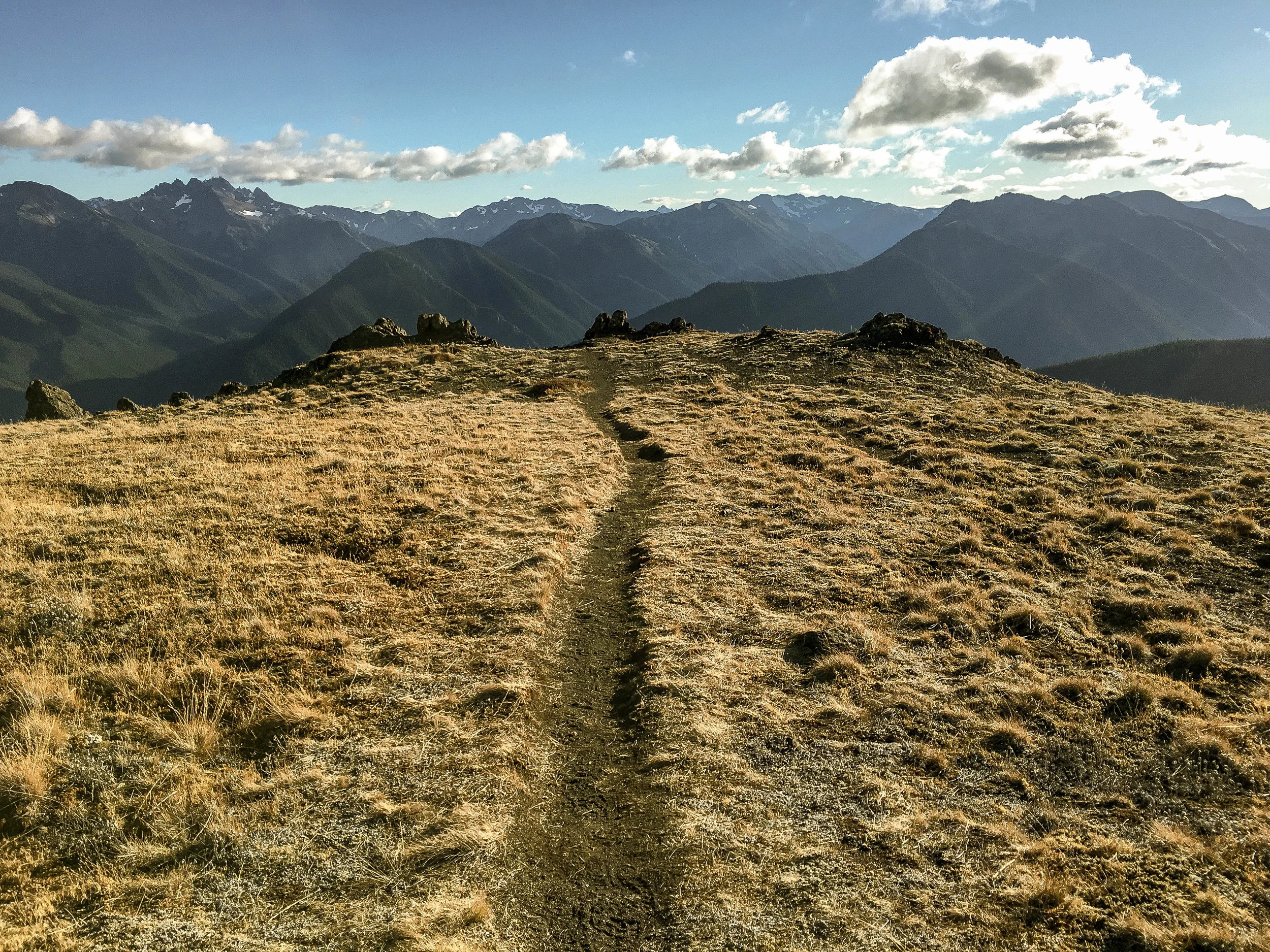 2017-10-02 16.55.37.jpg