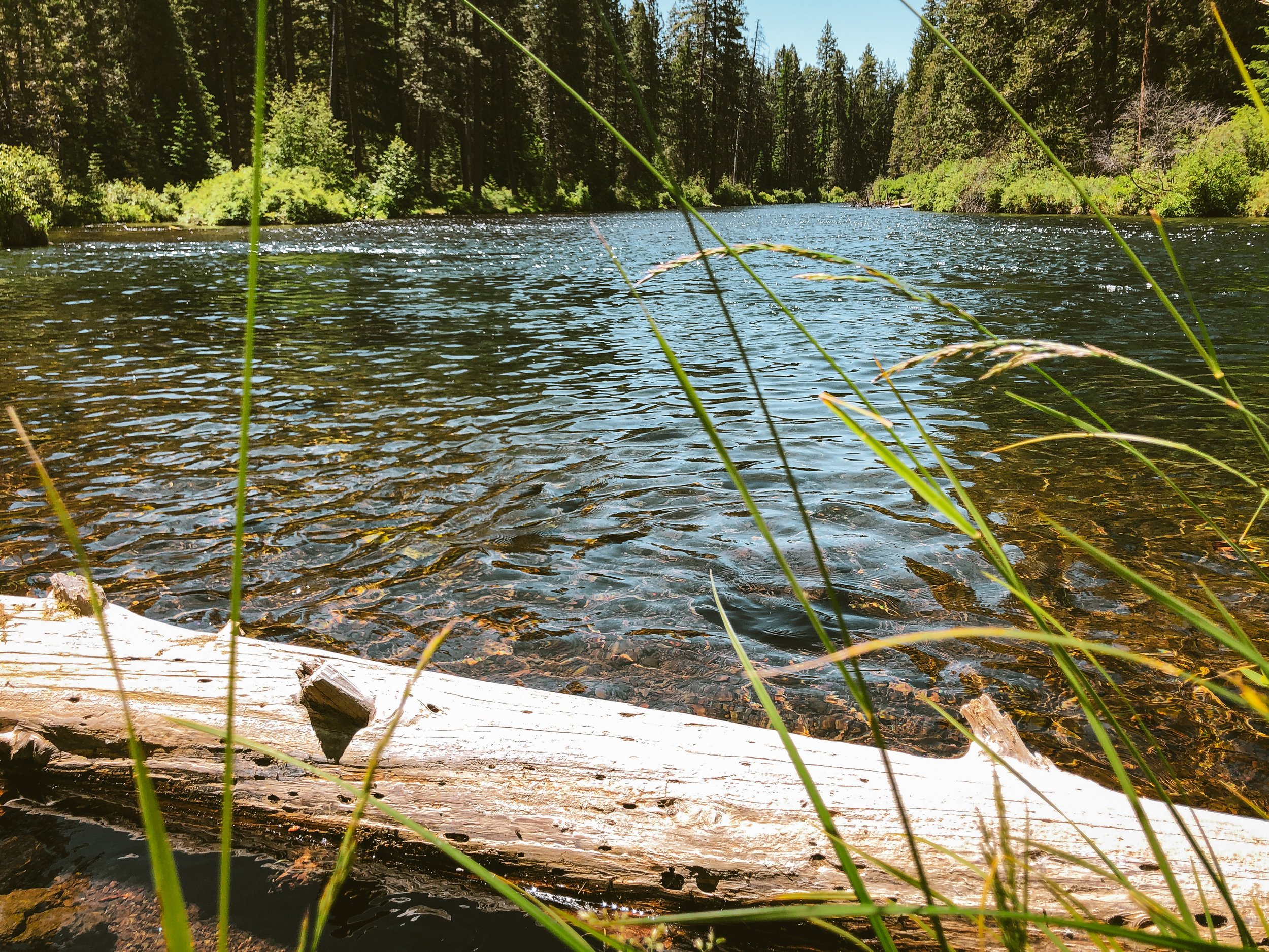 Metolius Headwaters — Our Mother The Mountain