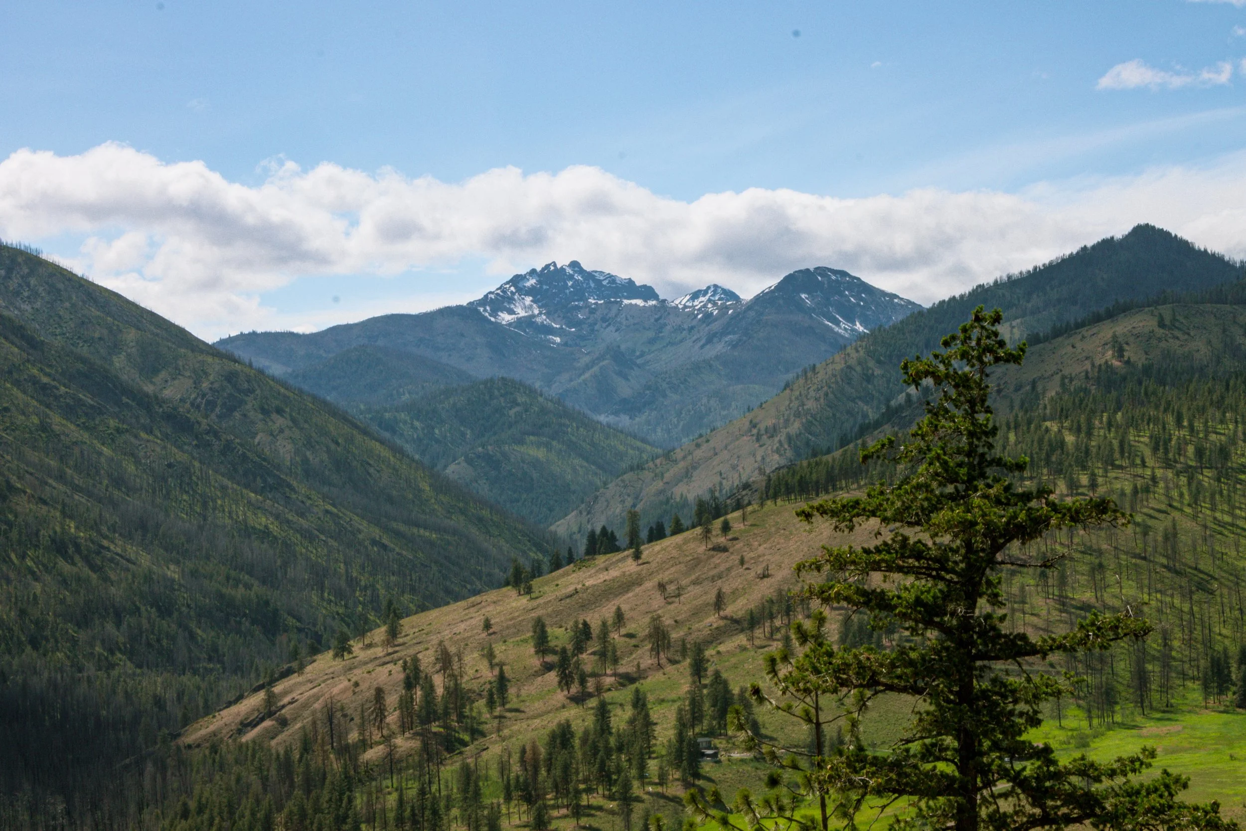 IMG_7684.jpg