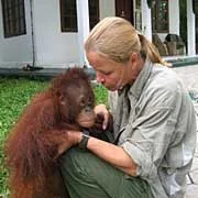SHOCKING: Orangutan Care vs. Orphan Care