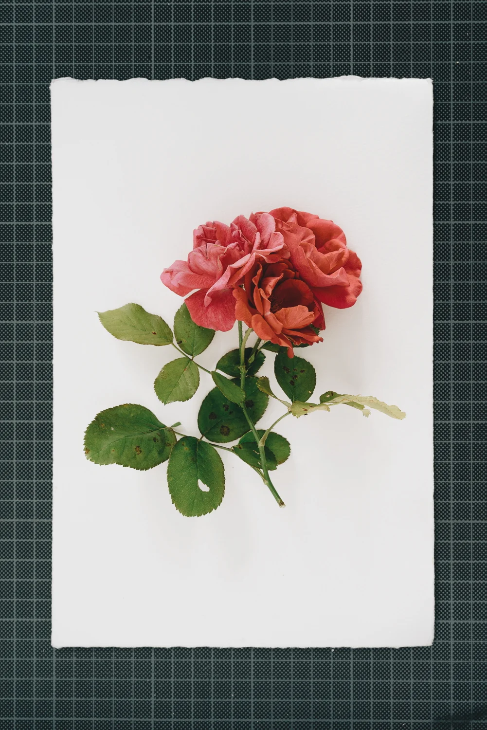 2014-08-26 04.30.32 1.jpg