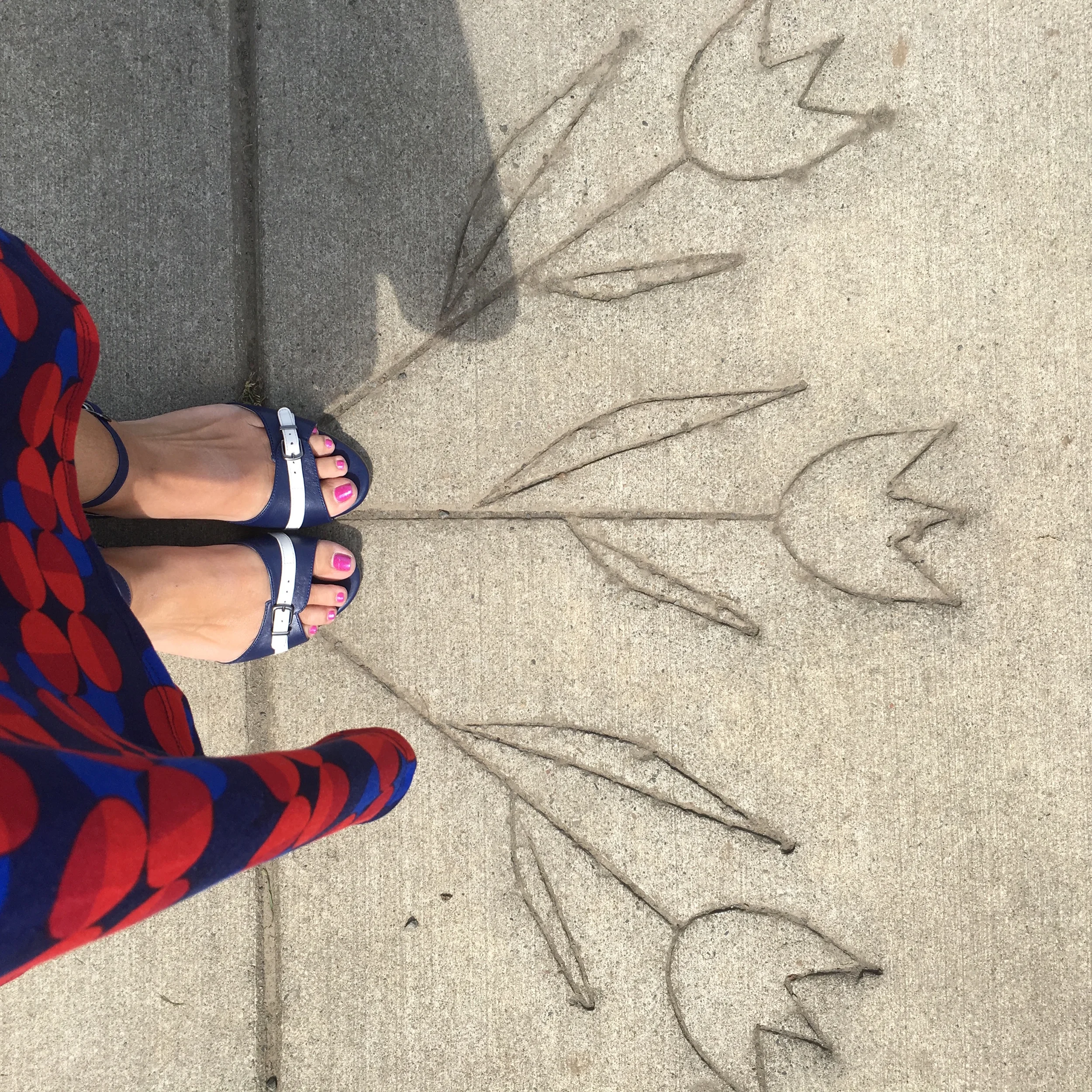 Local adventures like tulip seeking