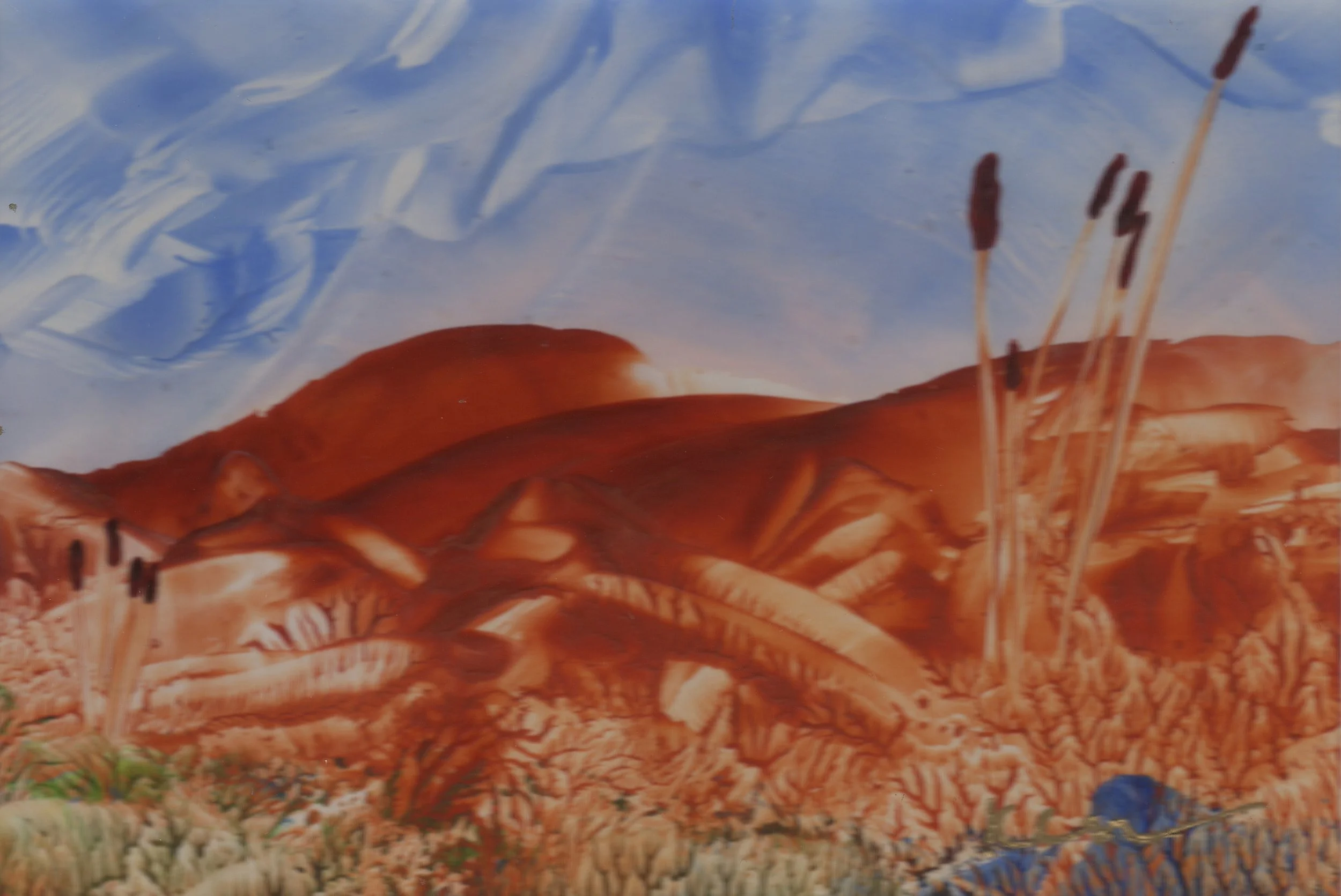Cattails.jpg