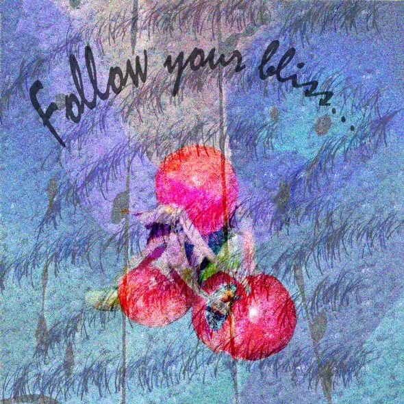 Follow Your Bliss © Kelly Naylor 2010