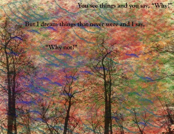 Why Not © Kelly Naylor 2010