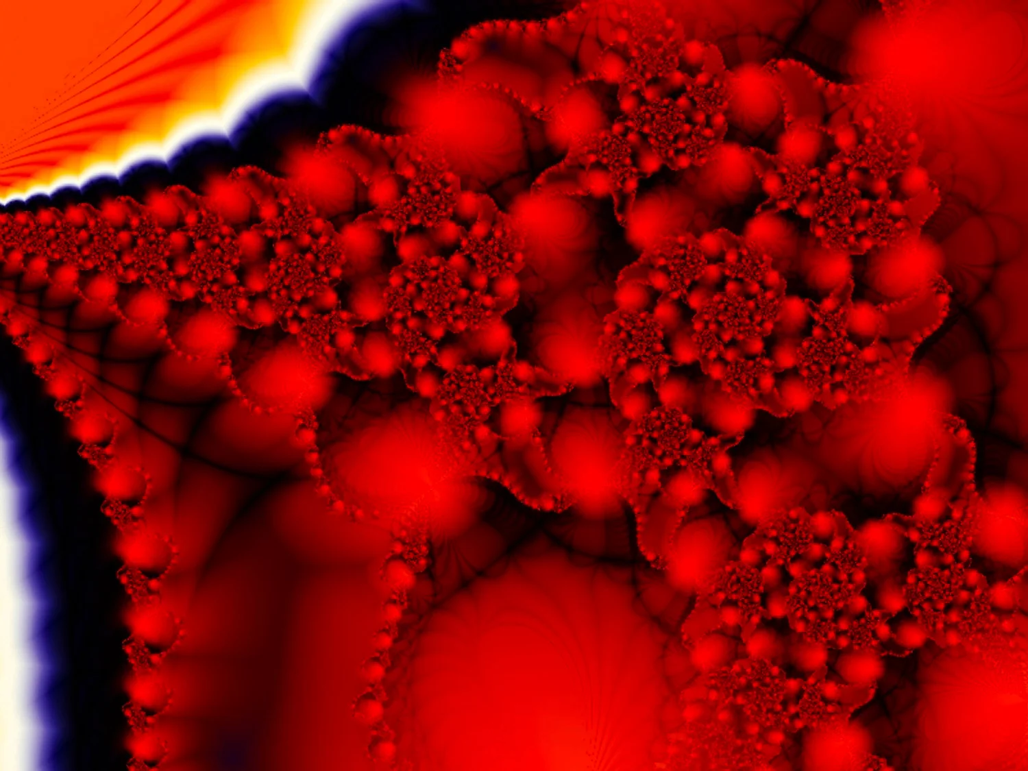 Traveling the Wormhole © Kelly Naylor 2007