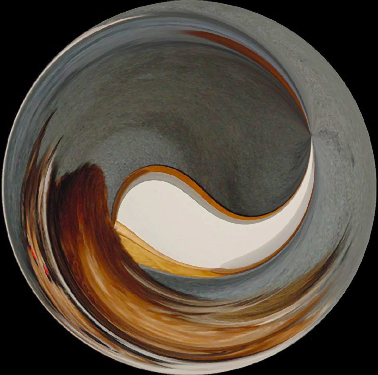 The Tao of Max © Kelly Naylor 2008