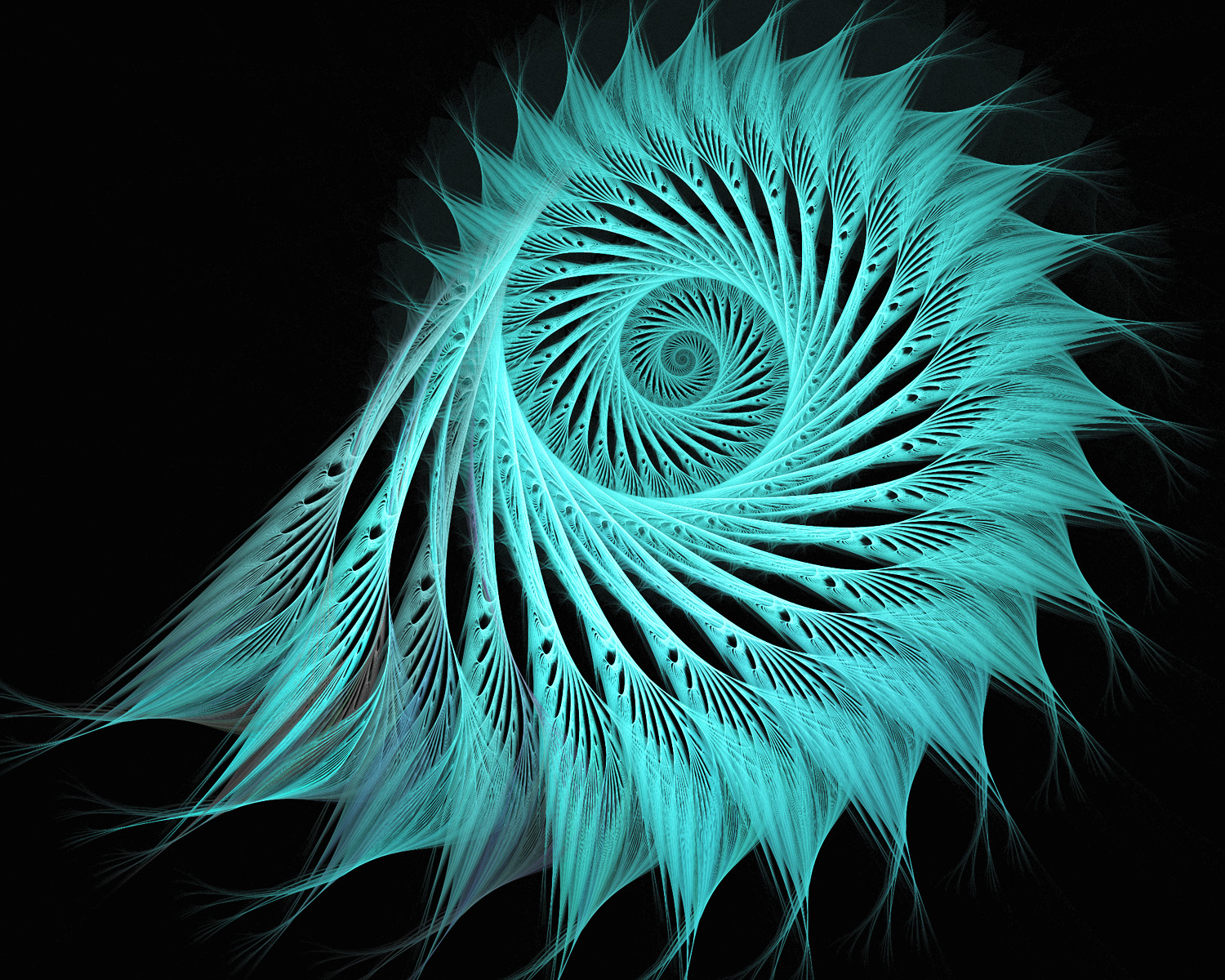 Fractal No. 1685 © Kelly Naylor 2015
