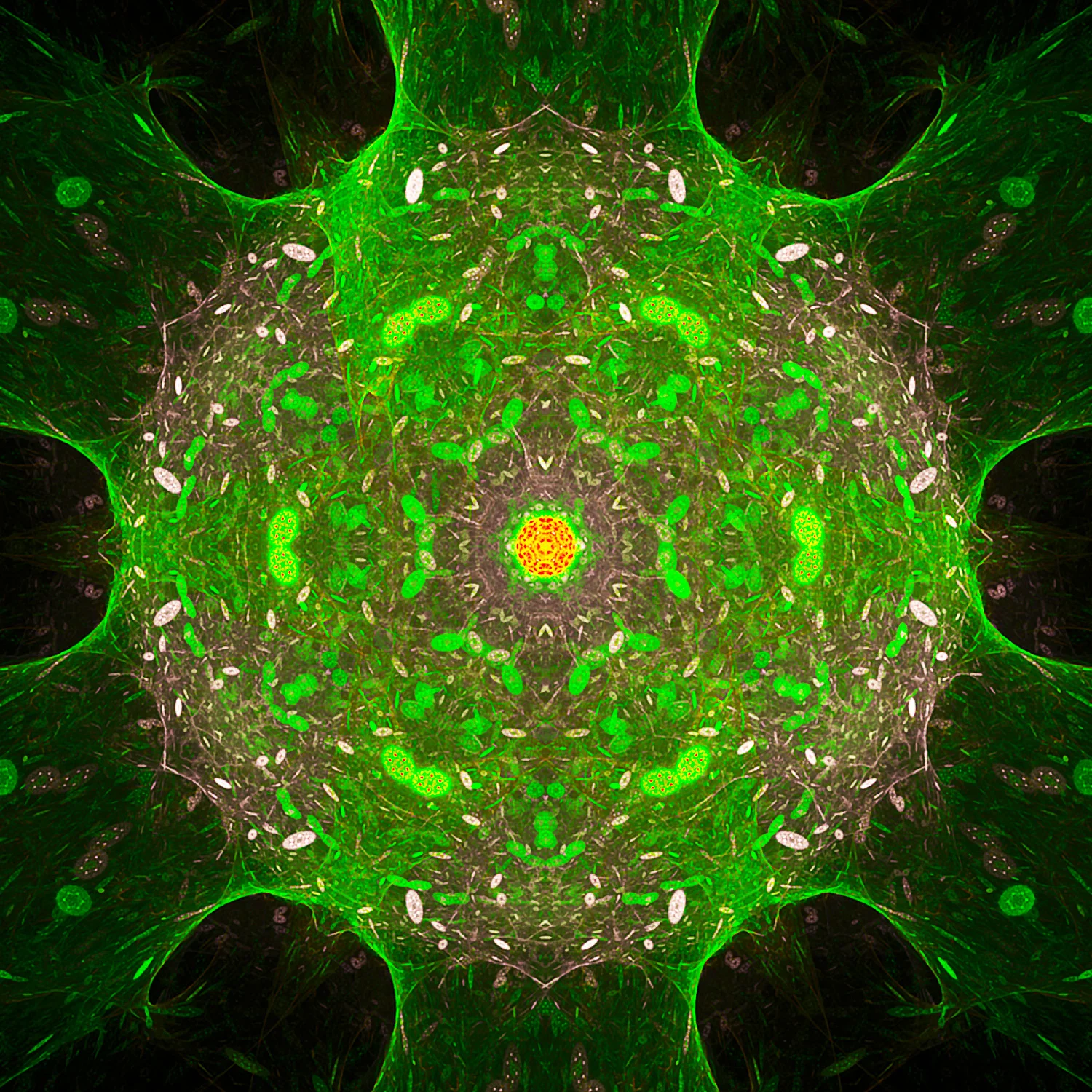 Fractal No. 1617 © Kelly Naylor 2014