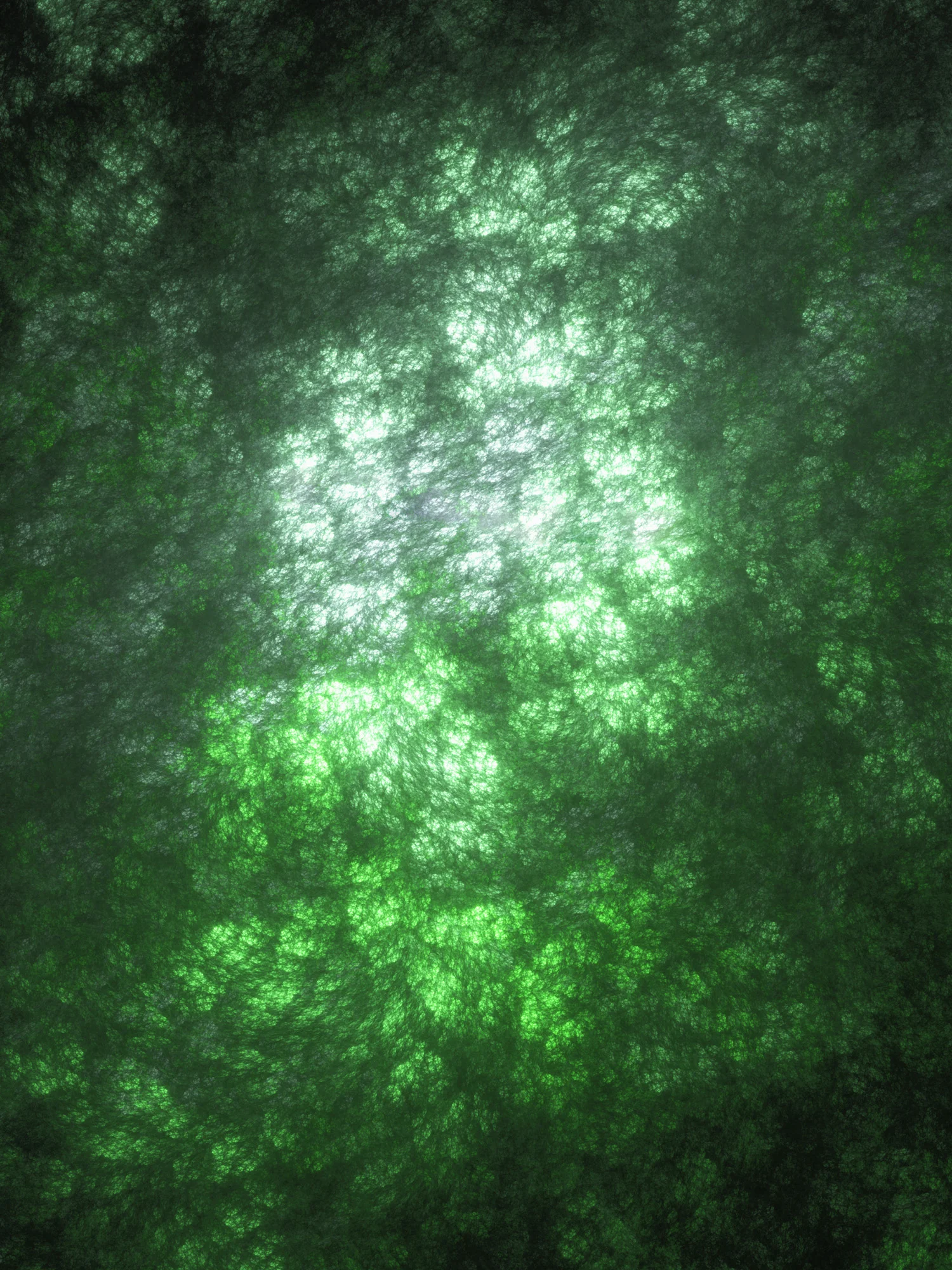 Fractal No. 1531 © Kelly Naylor 2014