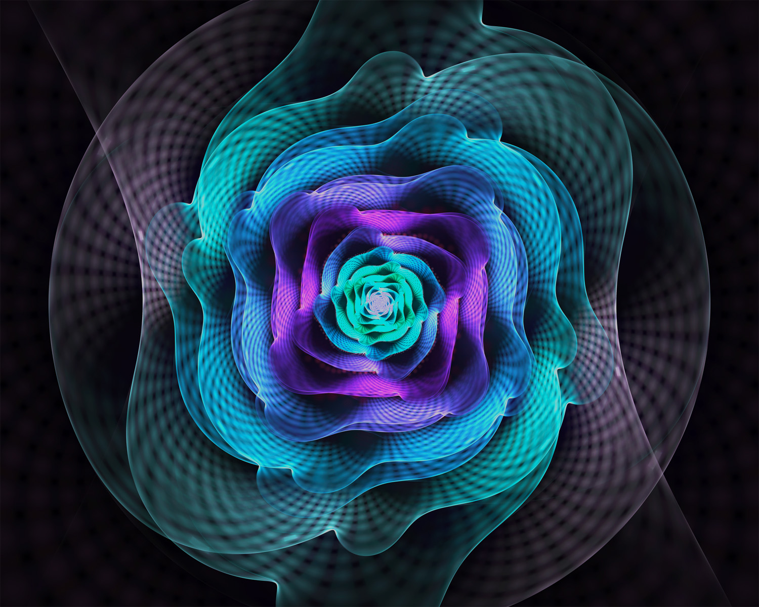 Fractal No. 1502 © Kelly Naylor 2014