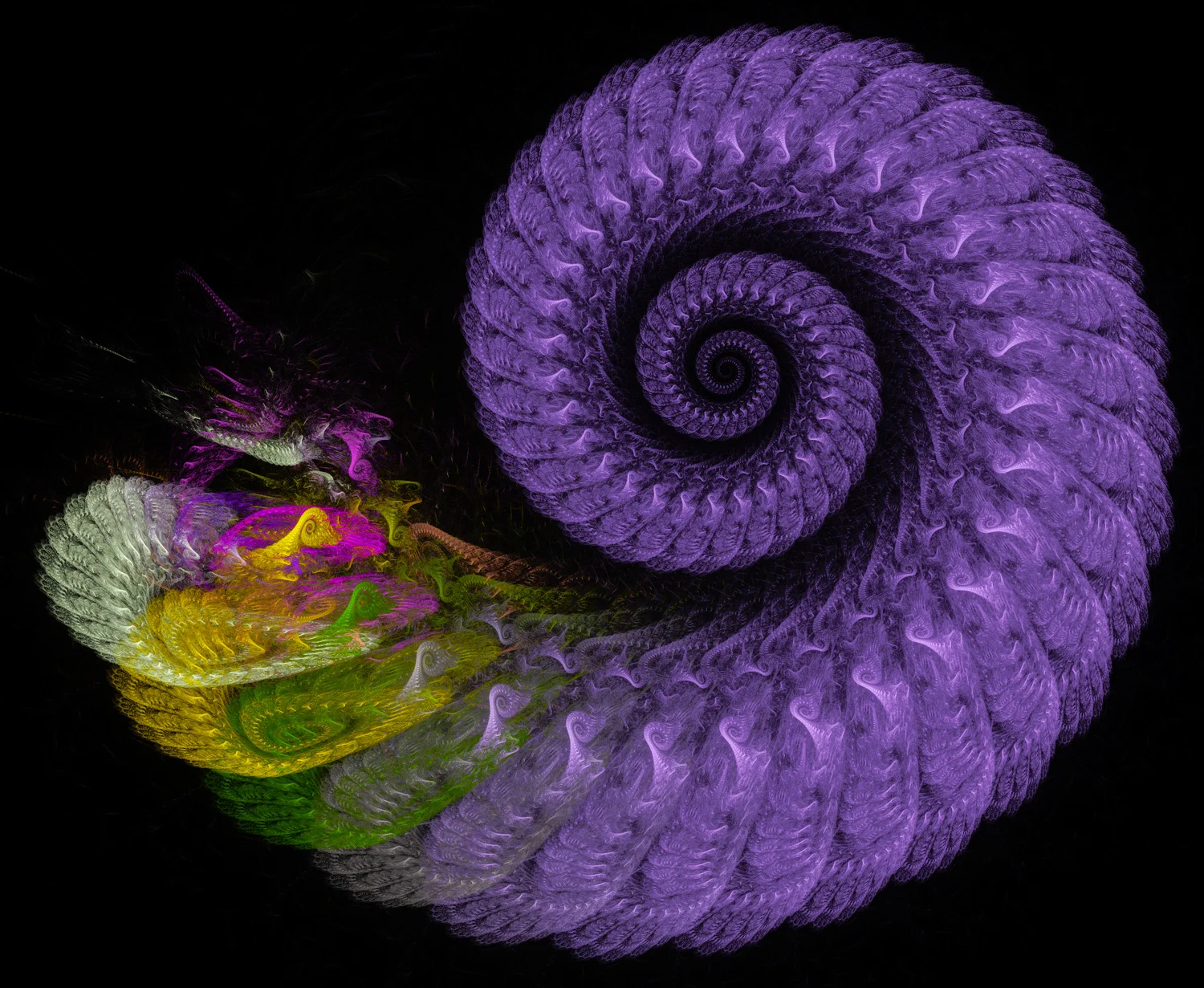 Fractal No. 1382 © Kelly Naylor 2014