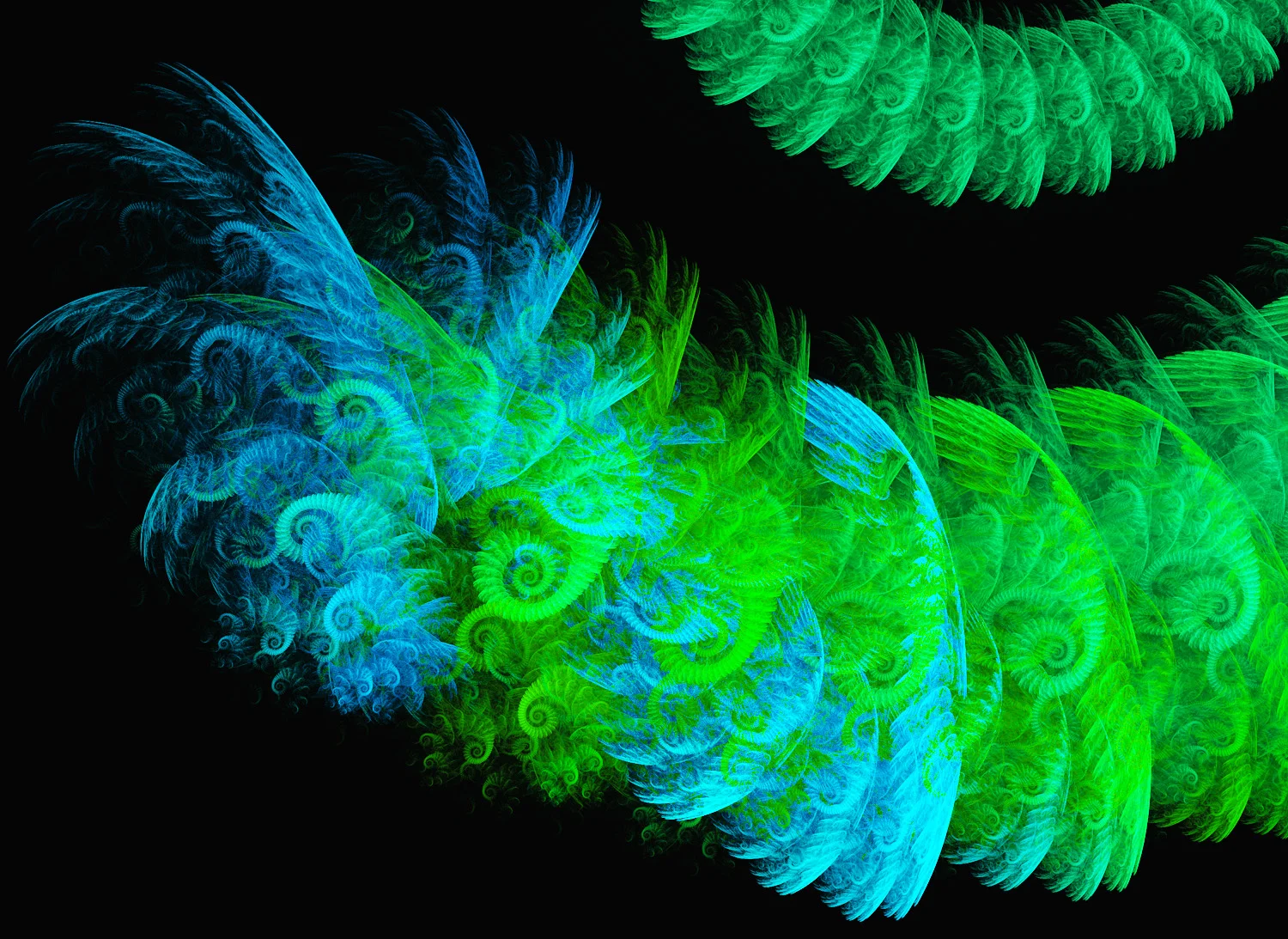 Fractal No. 1369 © Kelly Naylor 2014