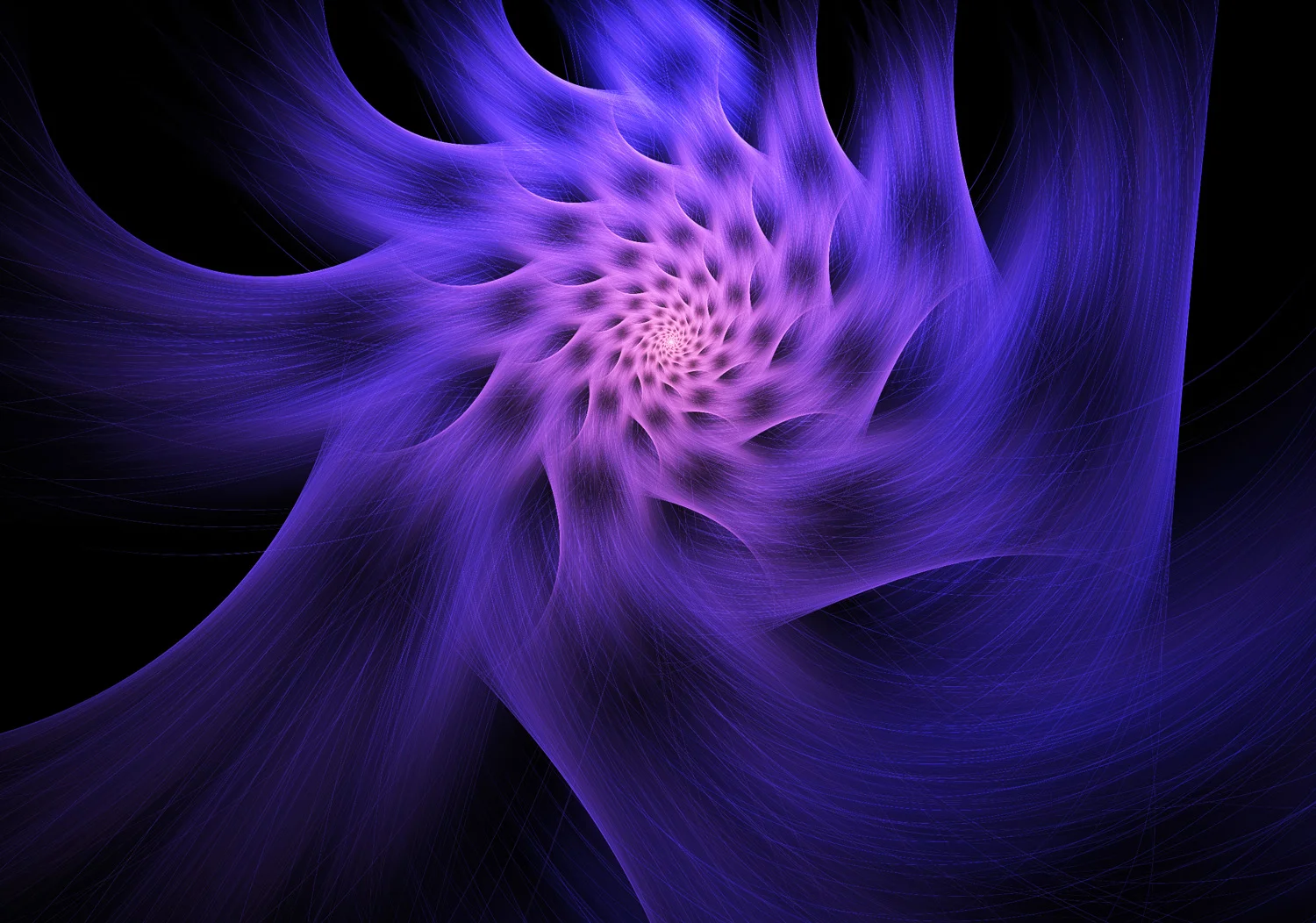 Fractal No. 1355 © Kelly Naylor 2014