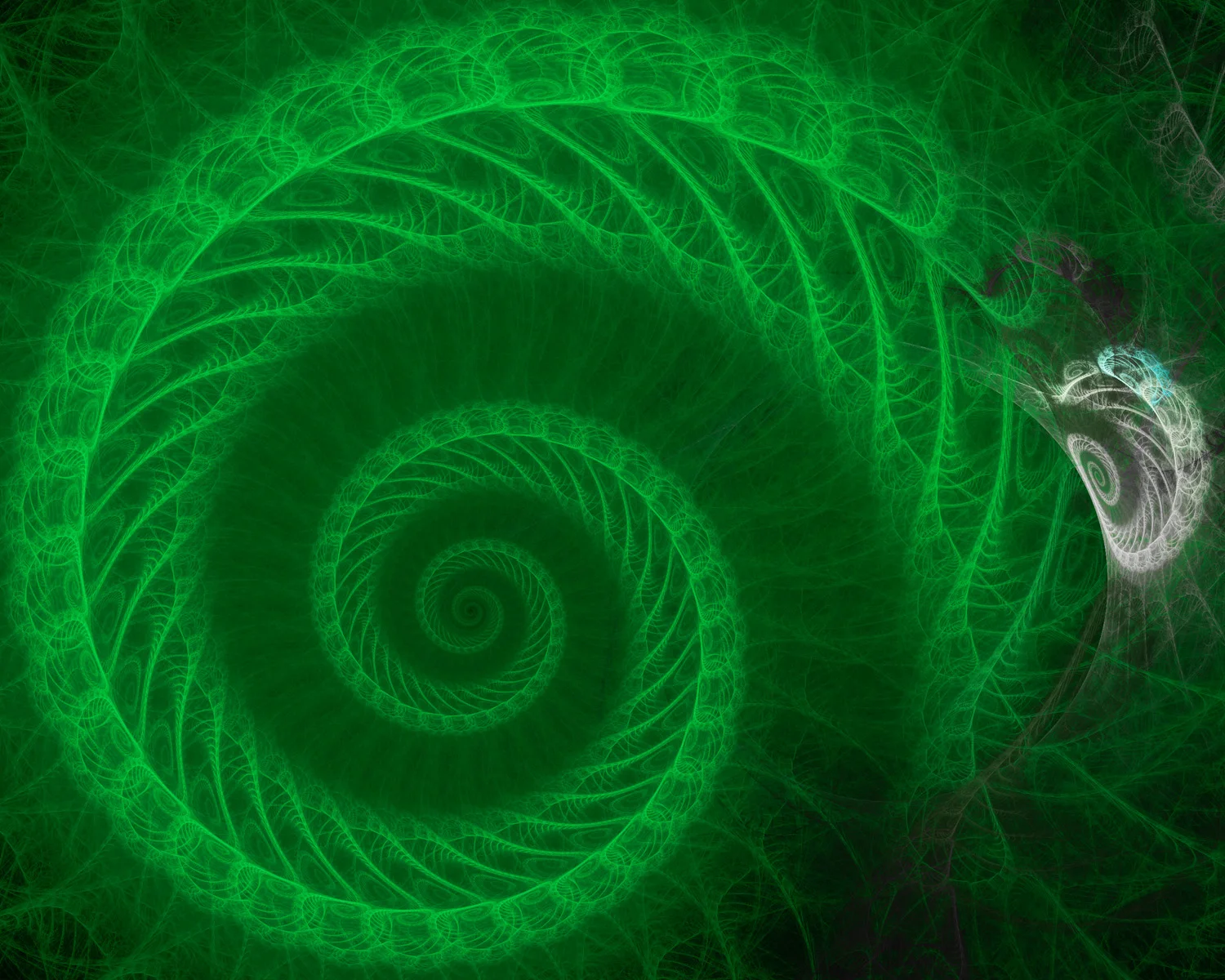 Fractal No. 1364 © Kelly Naylor 2014