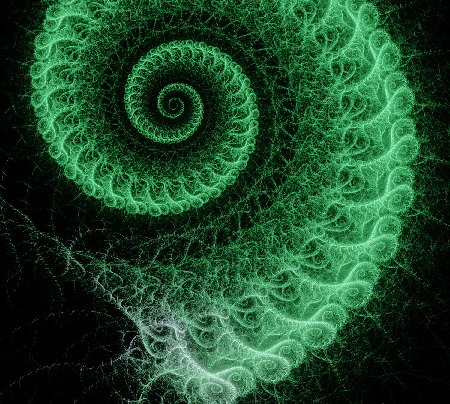 Fractal No. 1345 © Kelly Naylor 2014