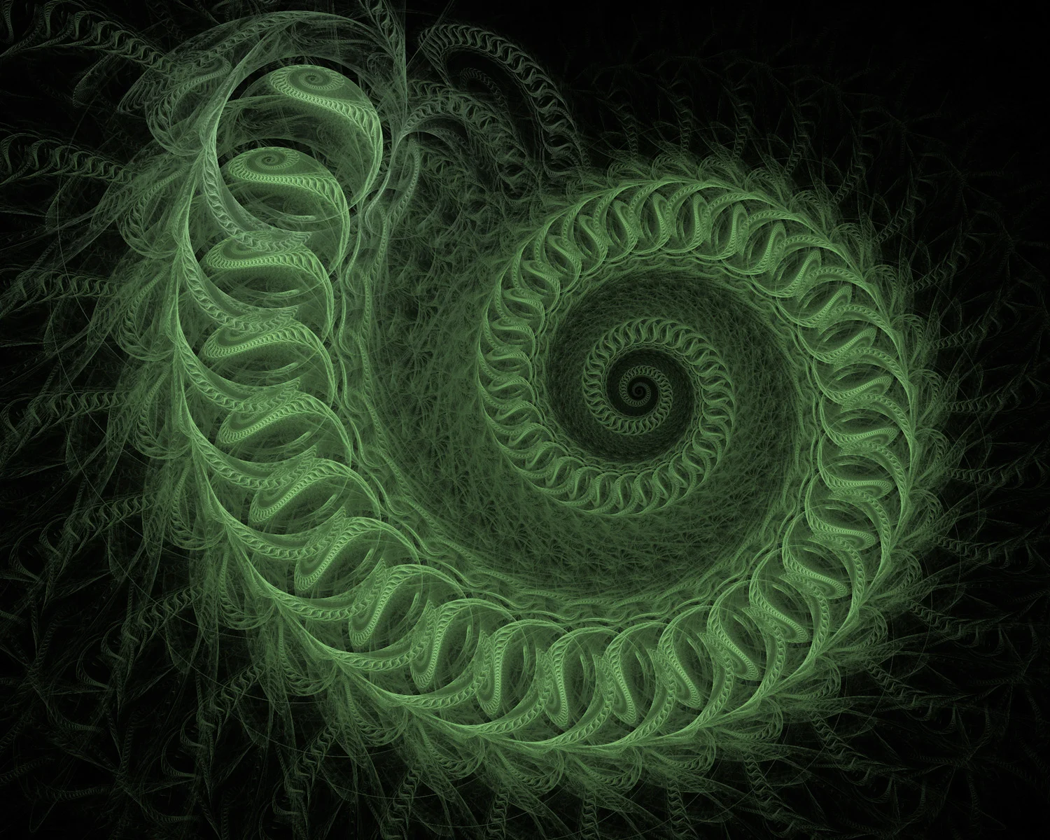 Fractal No. 1339 © Kelly Naylor 2014