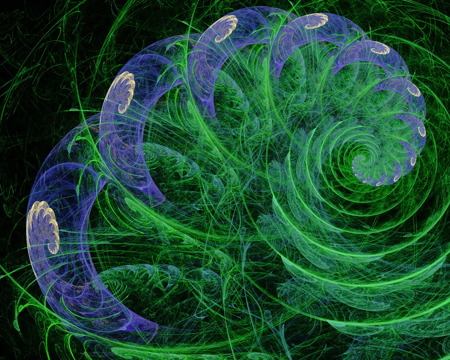 Fractal No. 1329 © Kelly Naylor 2014