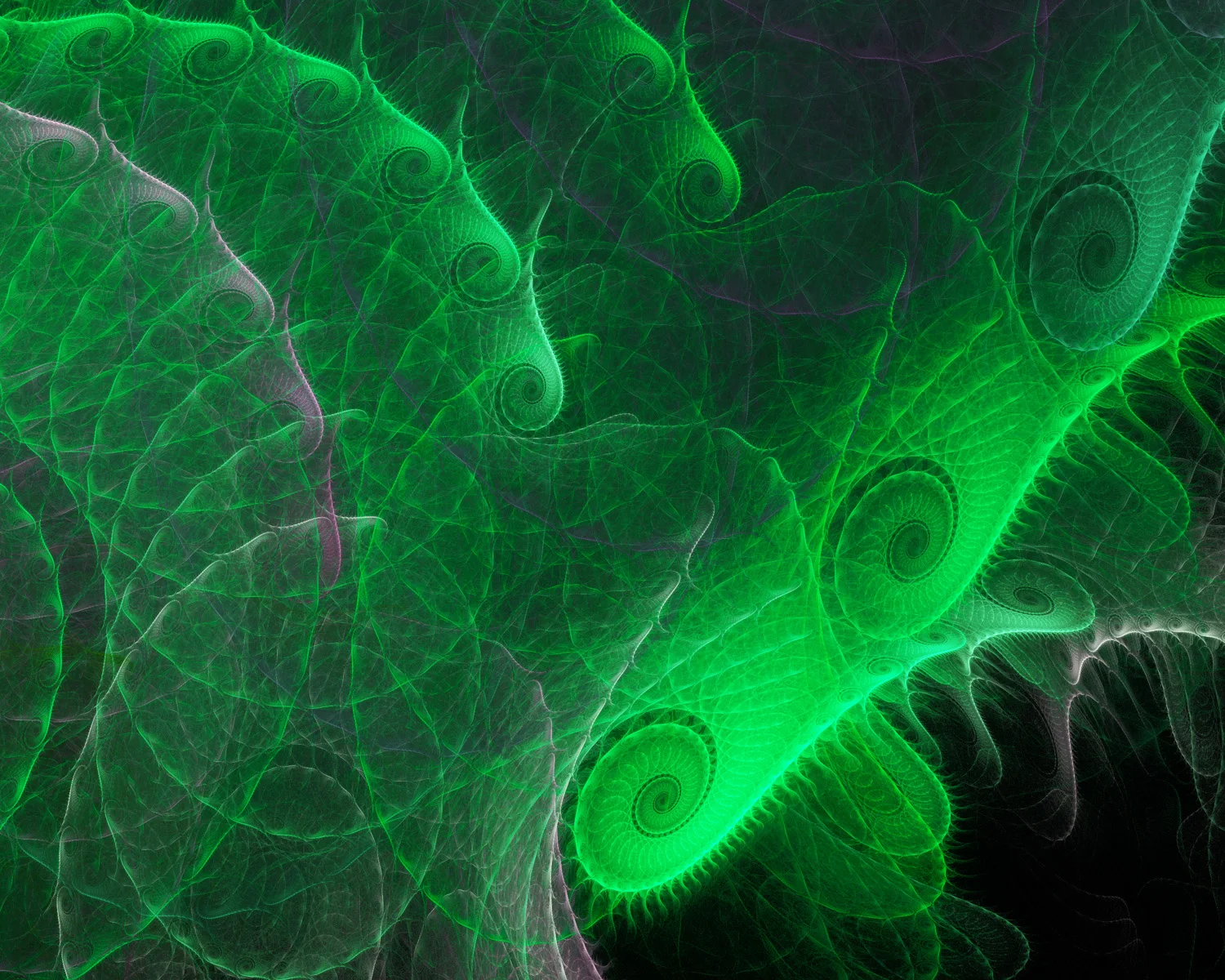 Fractal No. 1324 © Kelly Naylor 2014