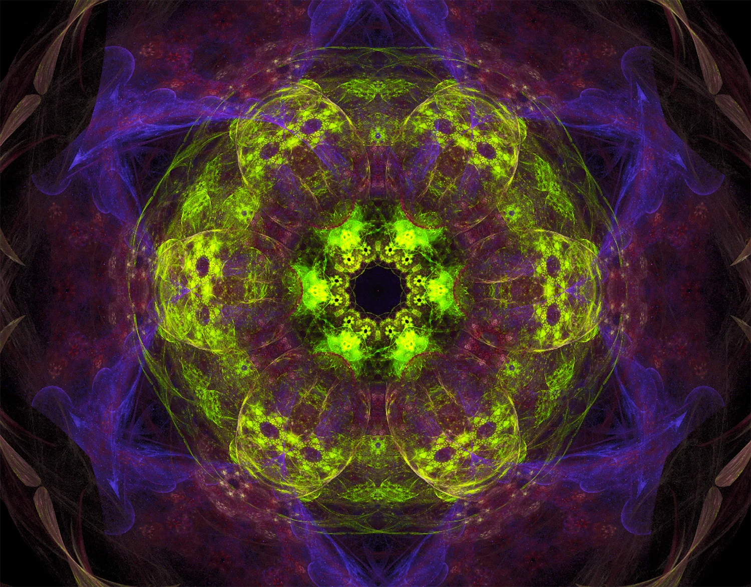 Fractal No. 1107&nbsp;© Kelly Naylor 2012