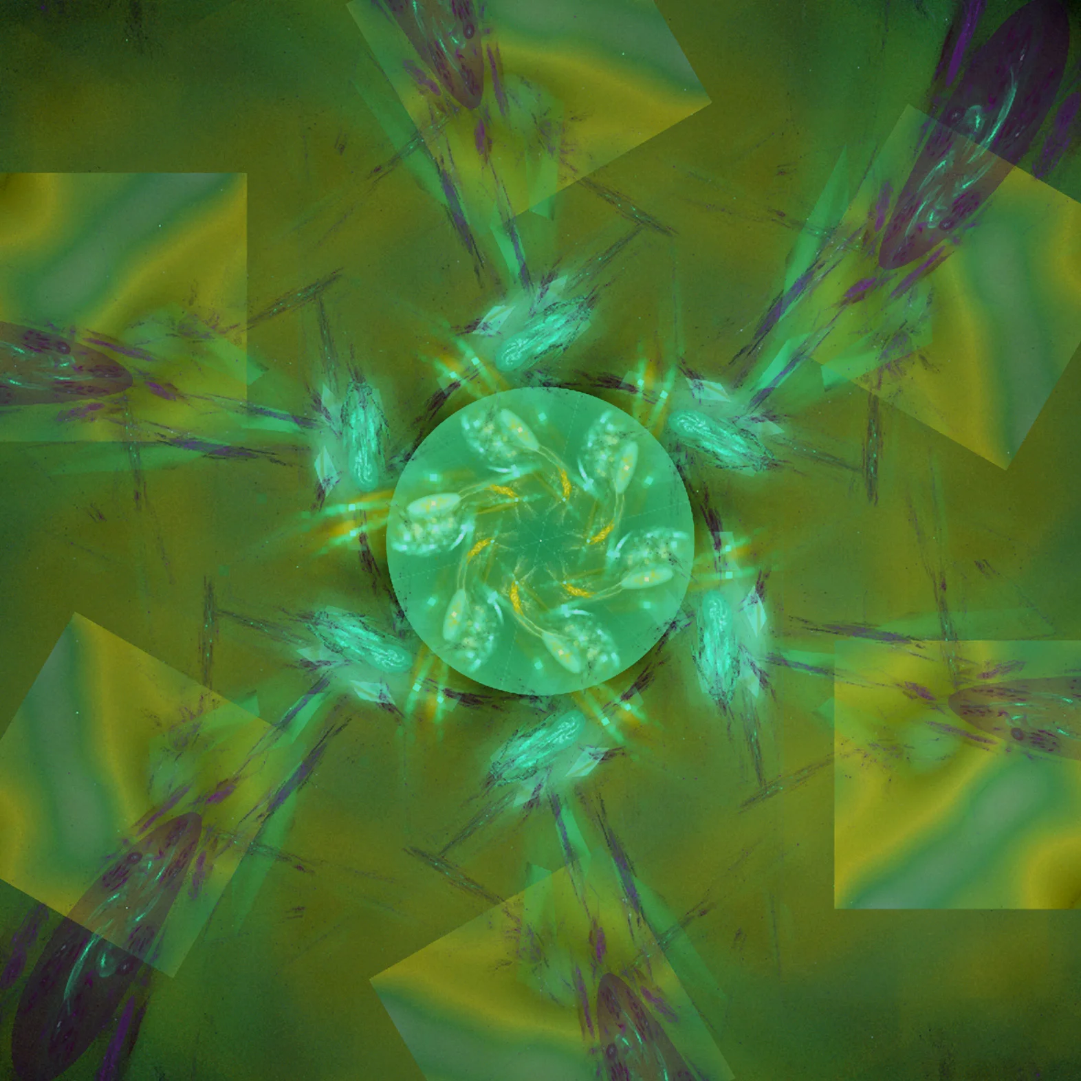 Fractal No. 1017&nbsp;© Kelly Naylor 2012