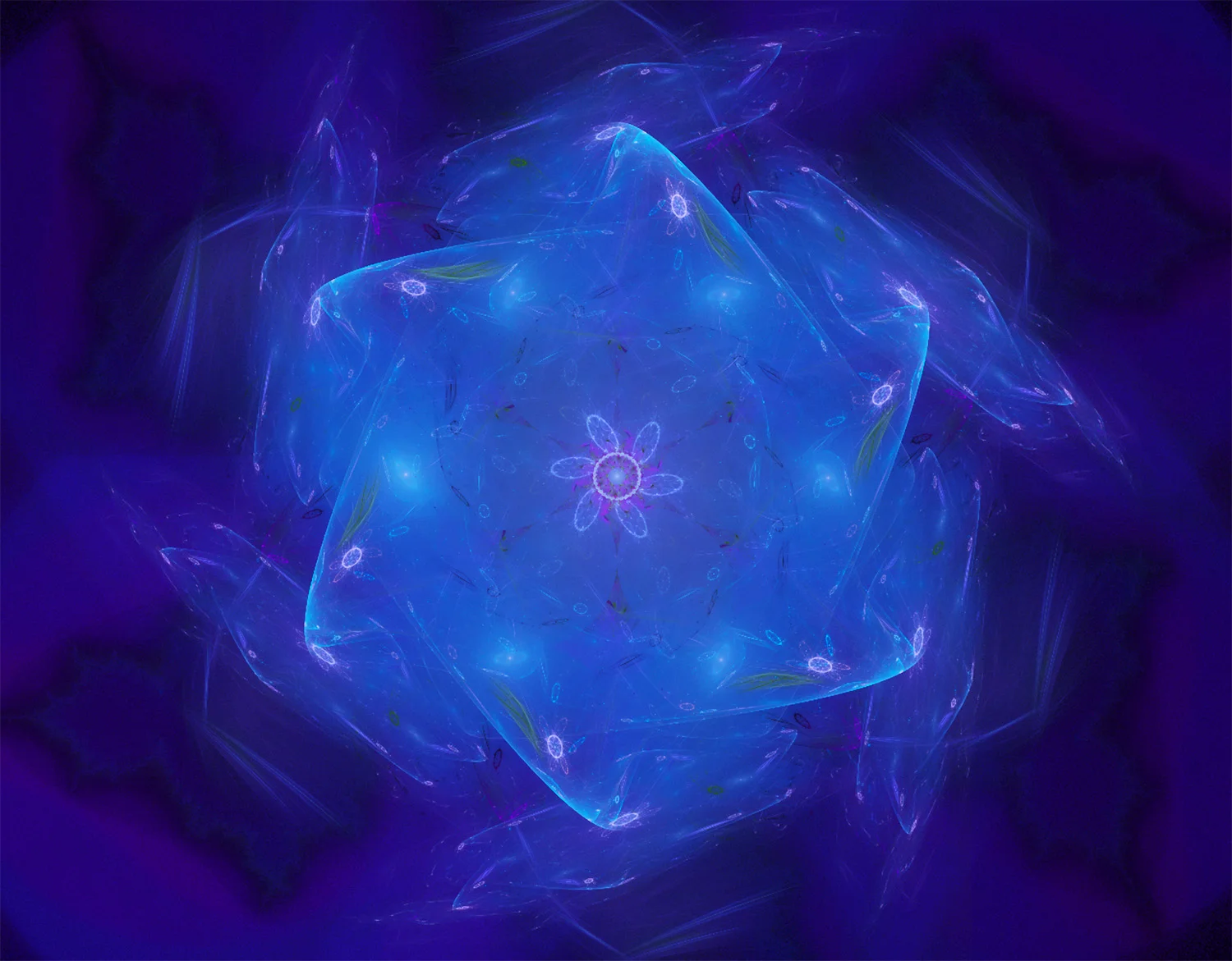 Fractal No. 1012&nbsp;© Kelly Naylor 2012