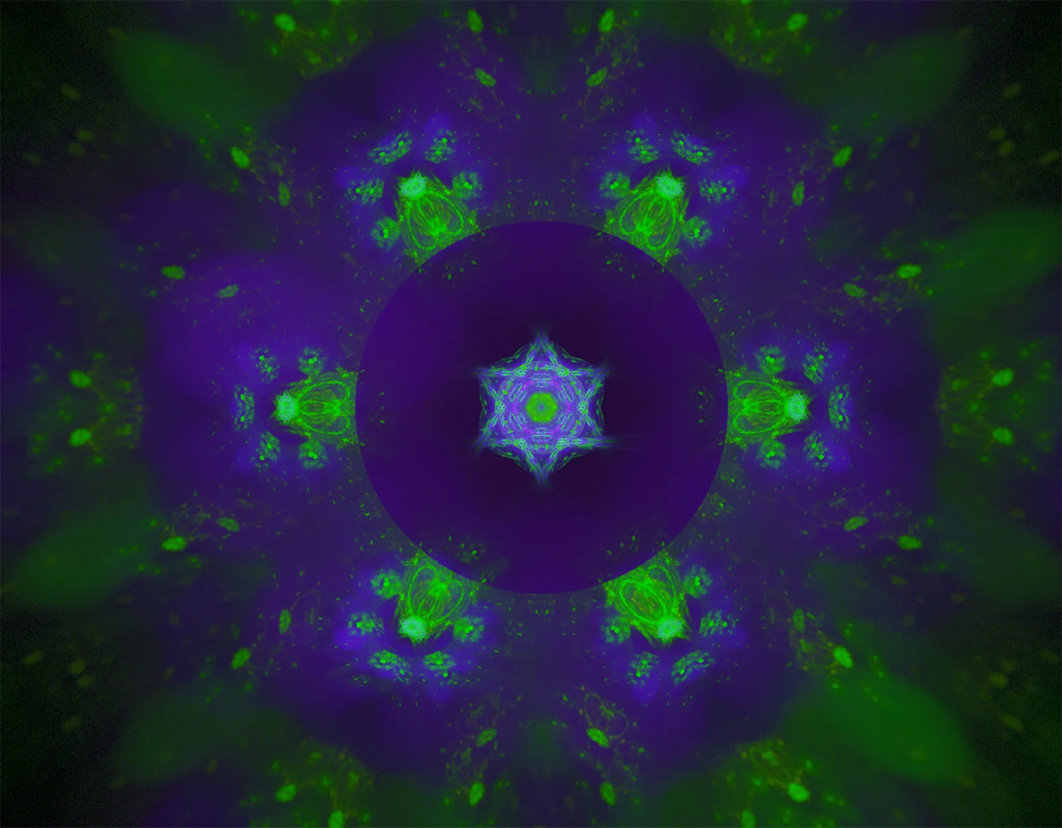 Fractal No. 1000&nbsp;© Kelly Naylor 2012