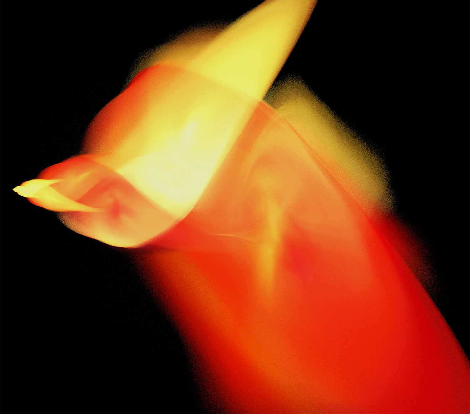 Fractal No. 882&nbsp;© Kelly Naylor 2012