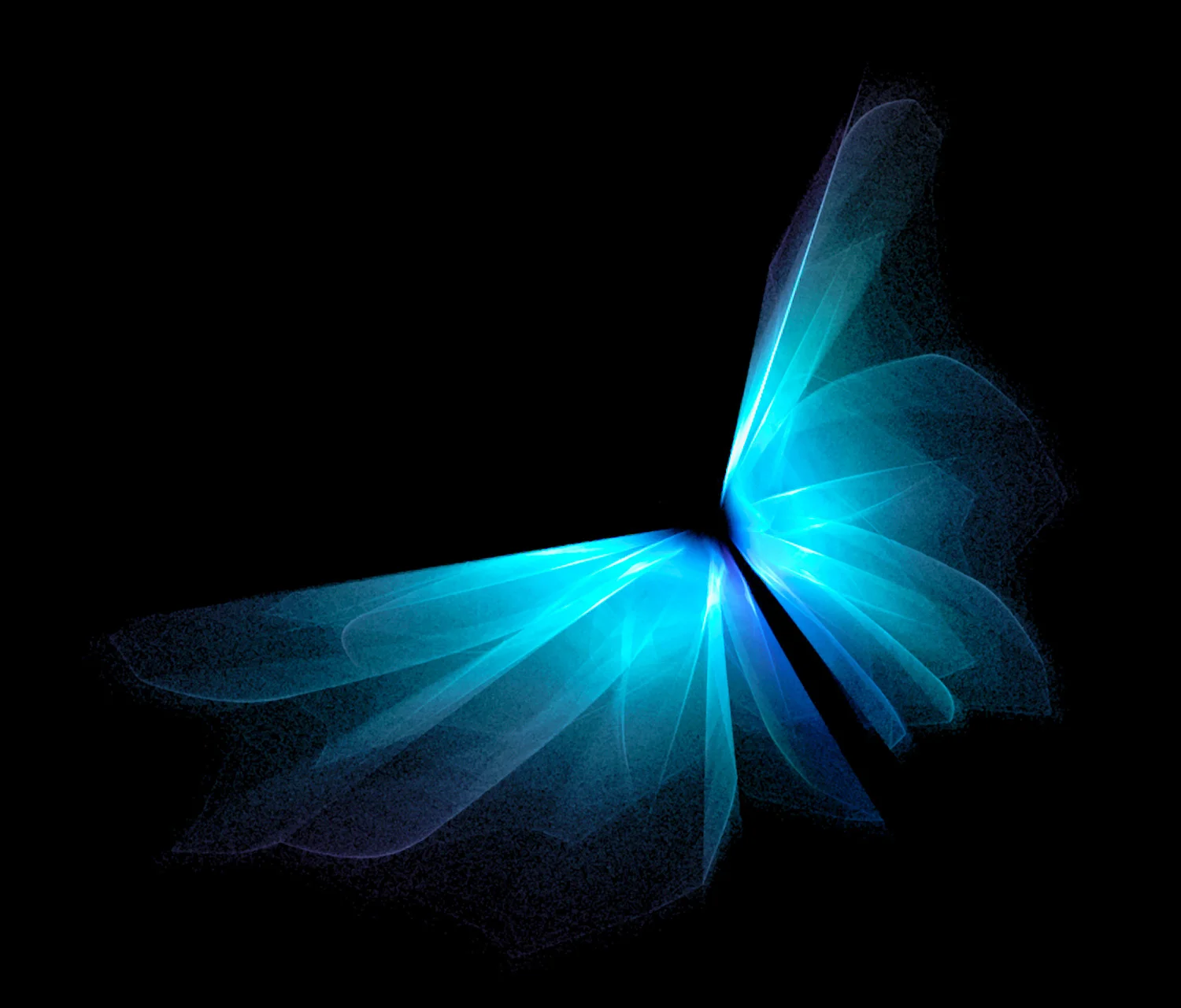 Butterfly © Kelly Naylor 2010