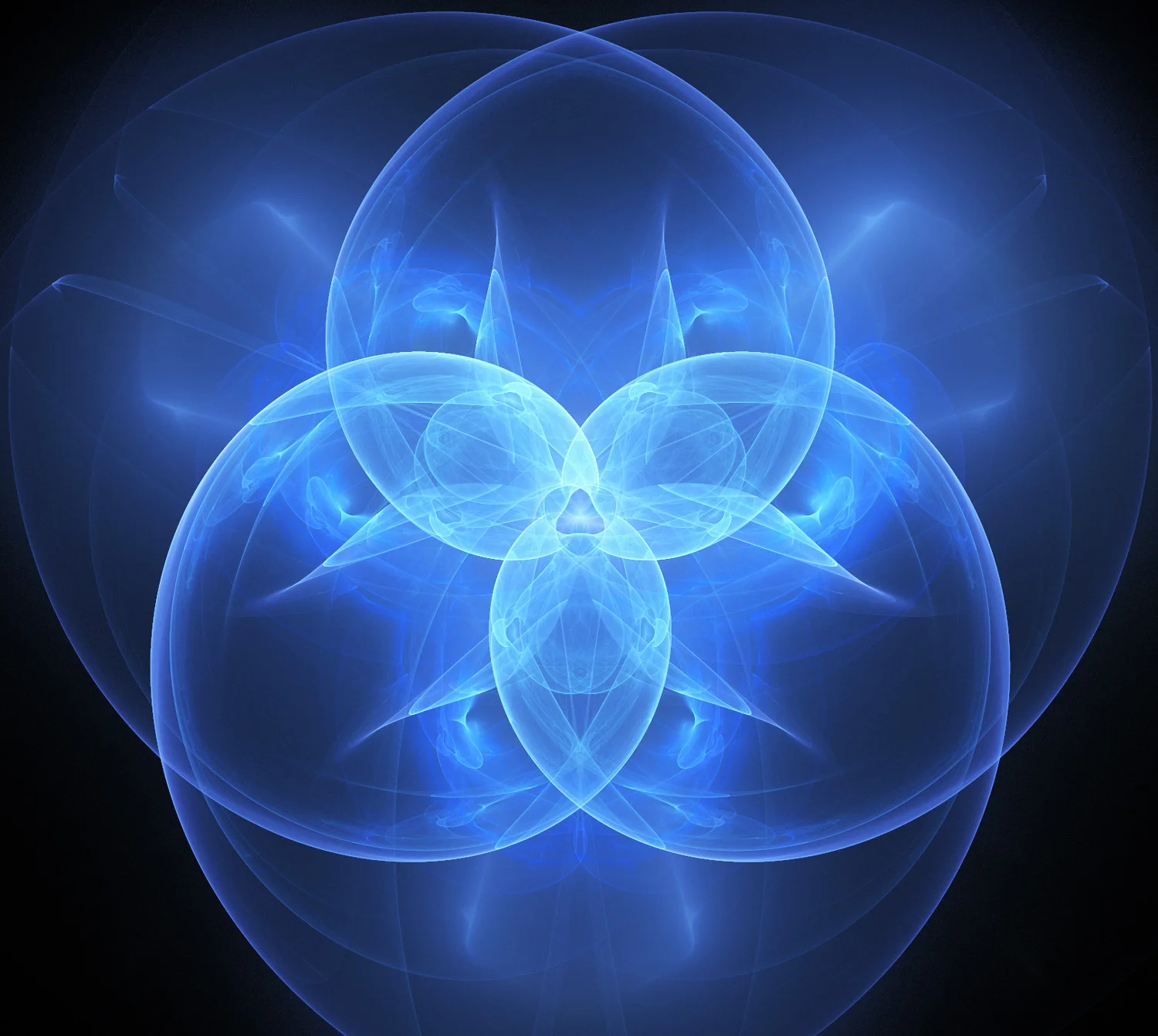 Fractal No. 242 © Kelly Naylor 2009