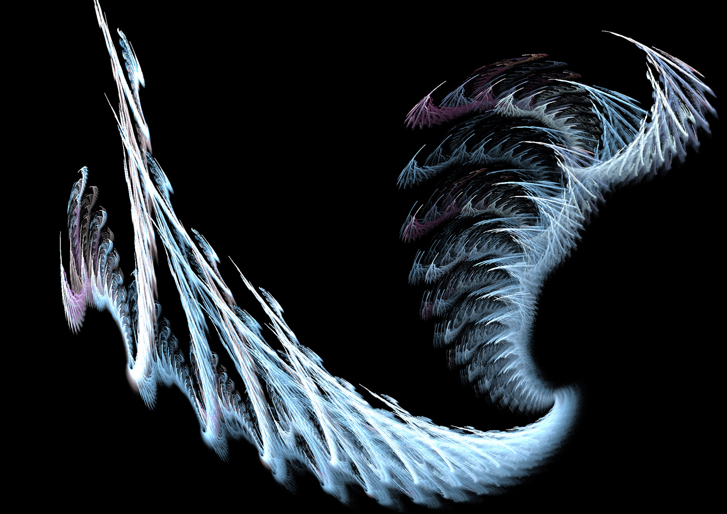 Fractal No. 203 © Kelly Naylor 2009