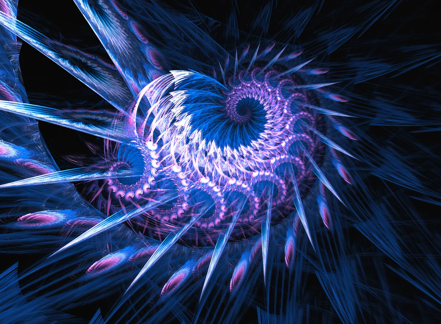 Fractal No. 181 © Kelly Naylor 2009