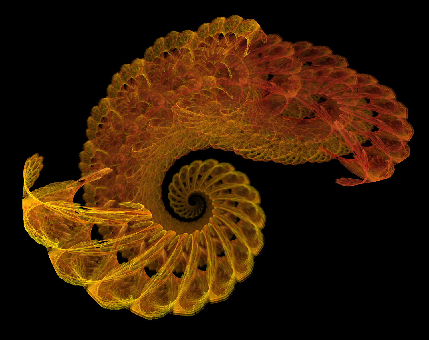 Fractal No. 169 © Kelly Naylor 2009