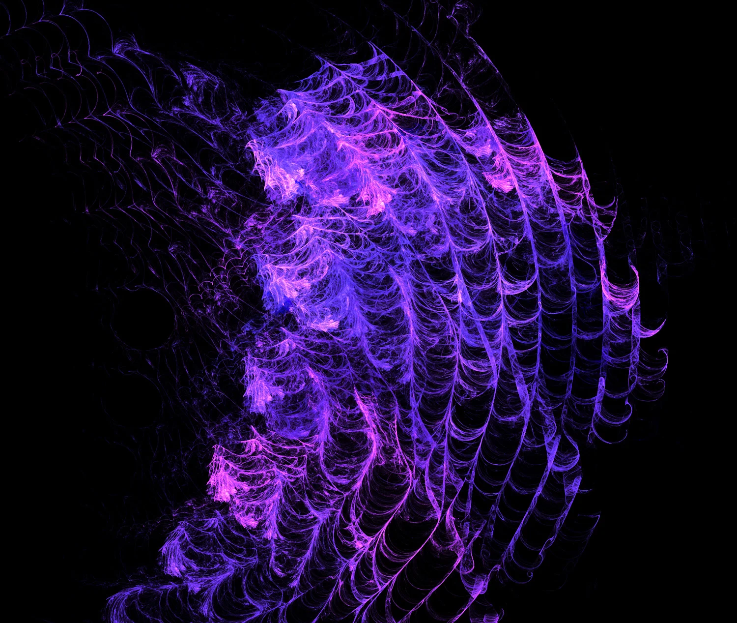 Fractal No. 161 © Kelly Naylor 2009