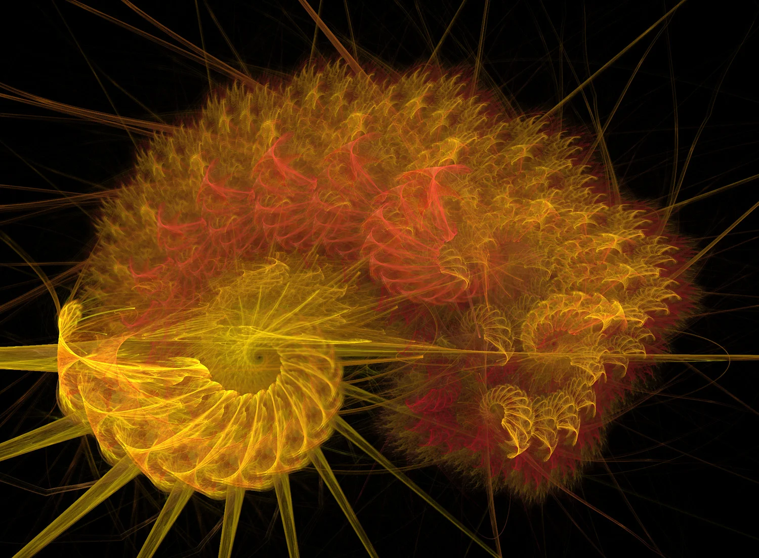 Fractal No. 153 © Kelly Naylor 2009