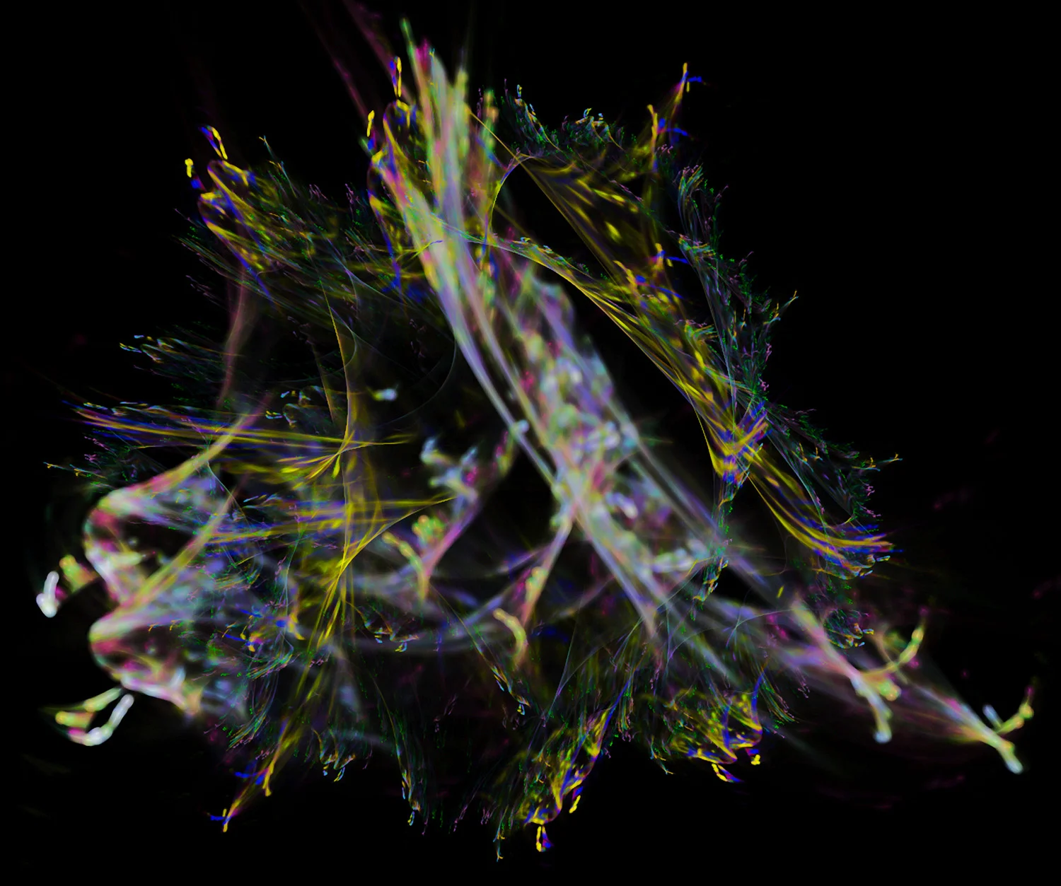 Fractal No. 138 © Kelly Naylor 2009