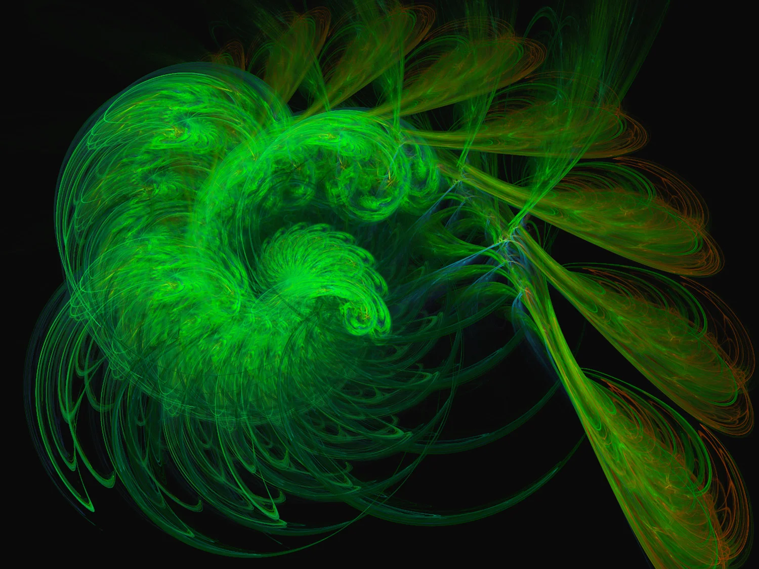 Fractal No. 131 © Kelly Naylor 2009